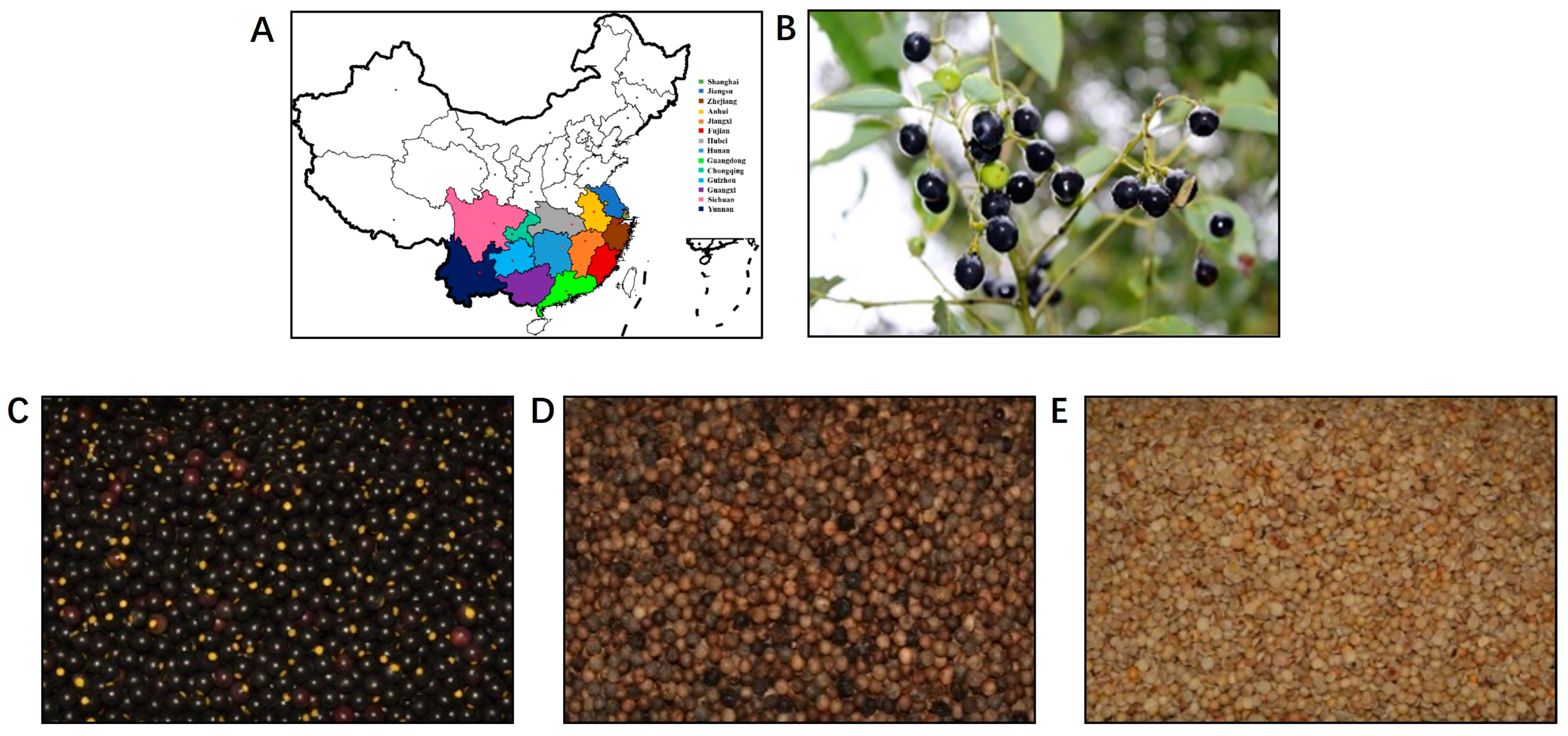 Foods 12 02630 g001 Foods 12 02630 g001
