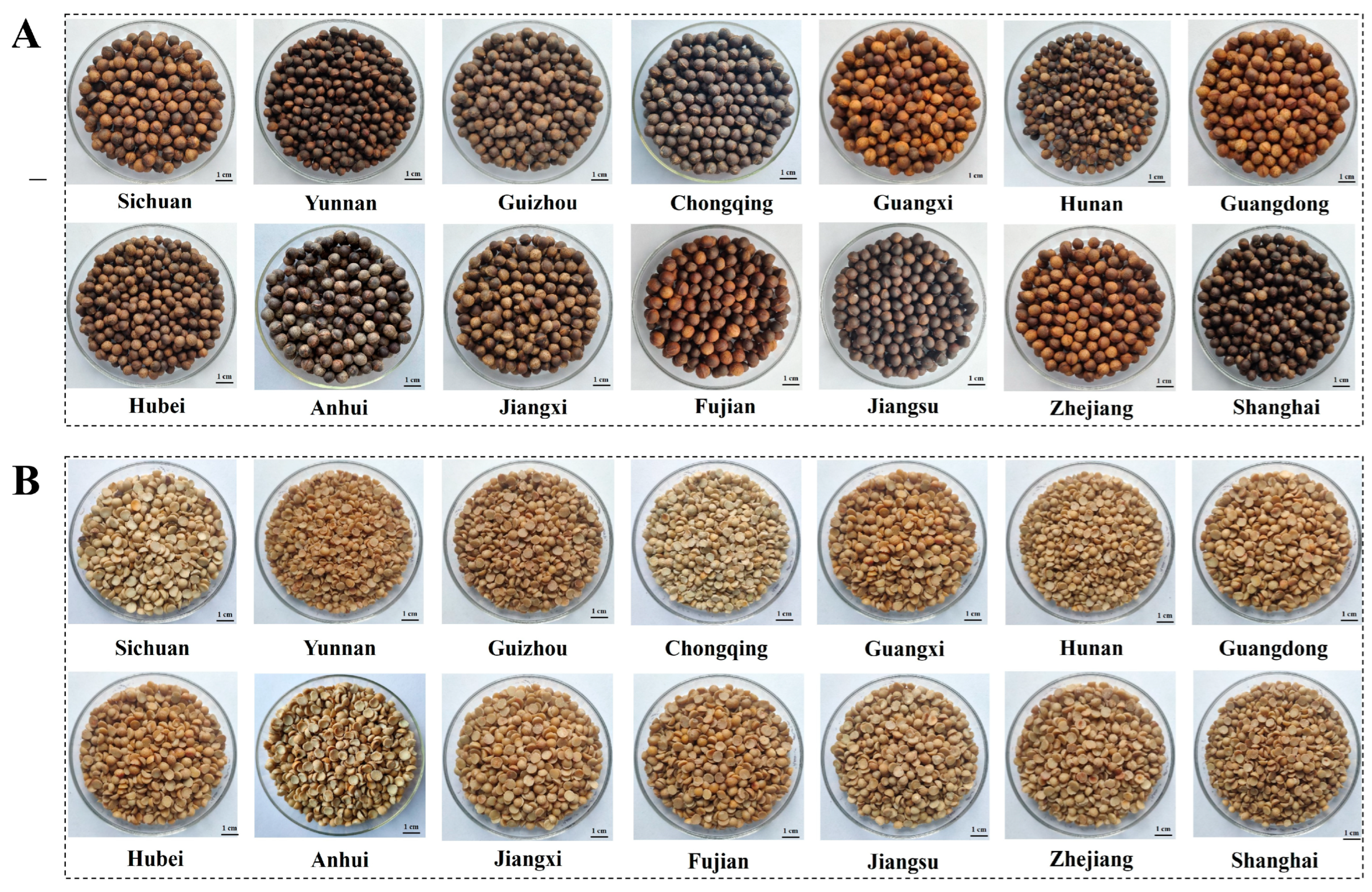 Foods 12 02630 g002 Foods 12 02630 g002