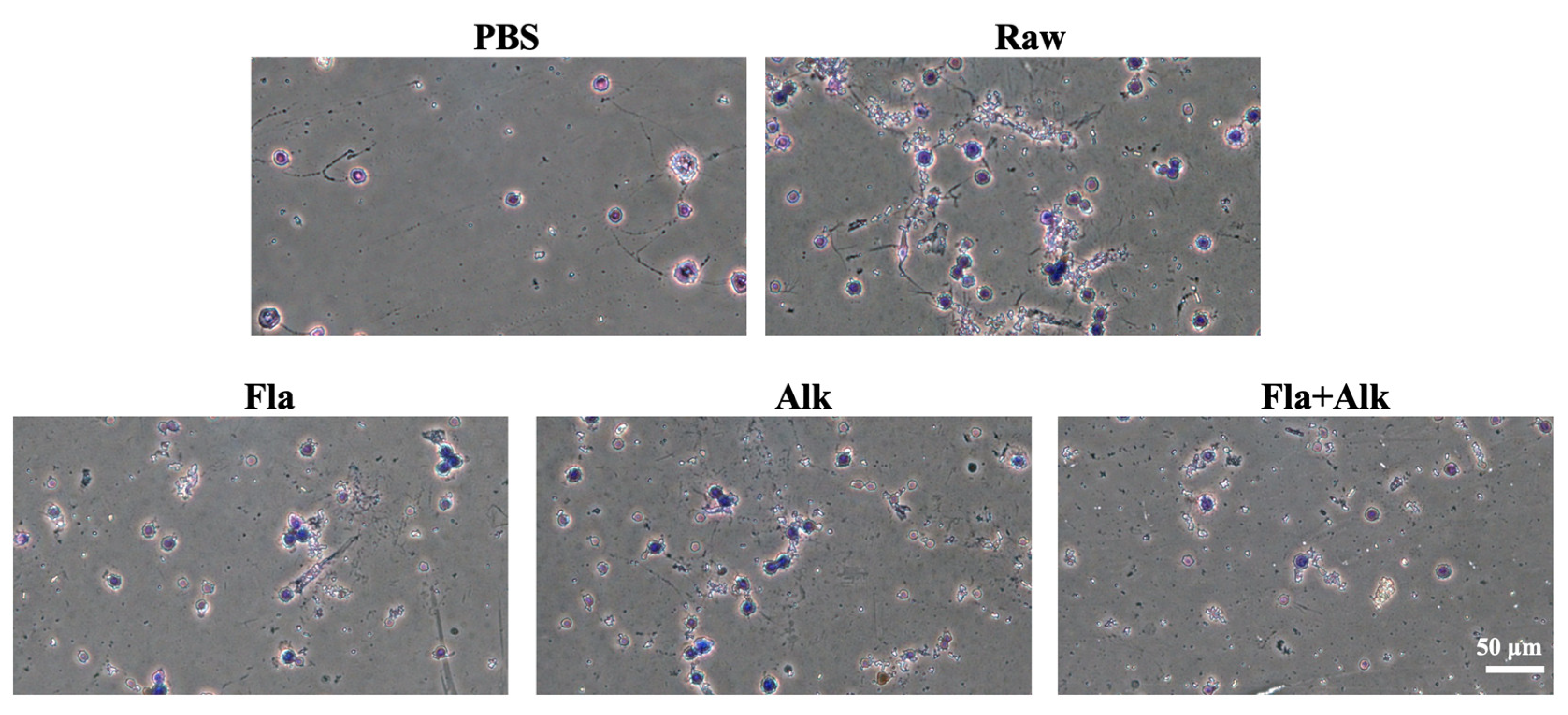 Foods 12 02634 g002 Foods 12 02634 g002
