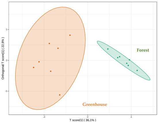 Foods | Free Full-Text | Difference in Volatile Aroma Components 