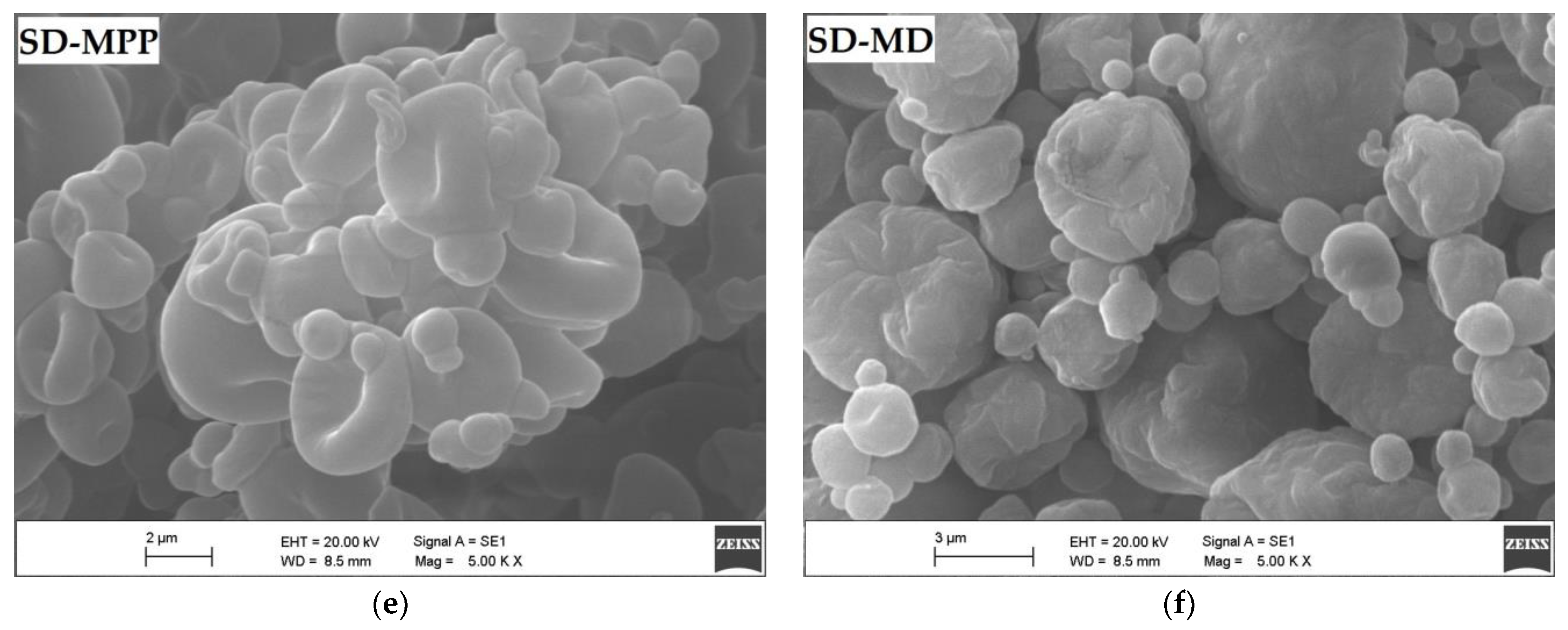 Foods 12 02700 g006b