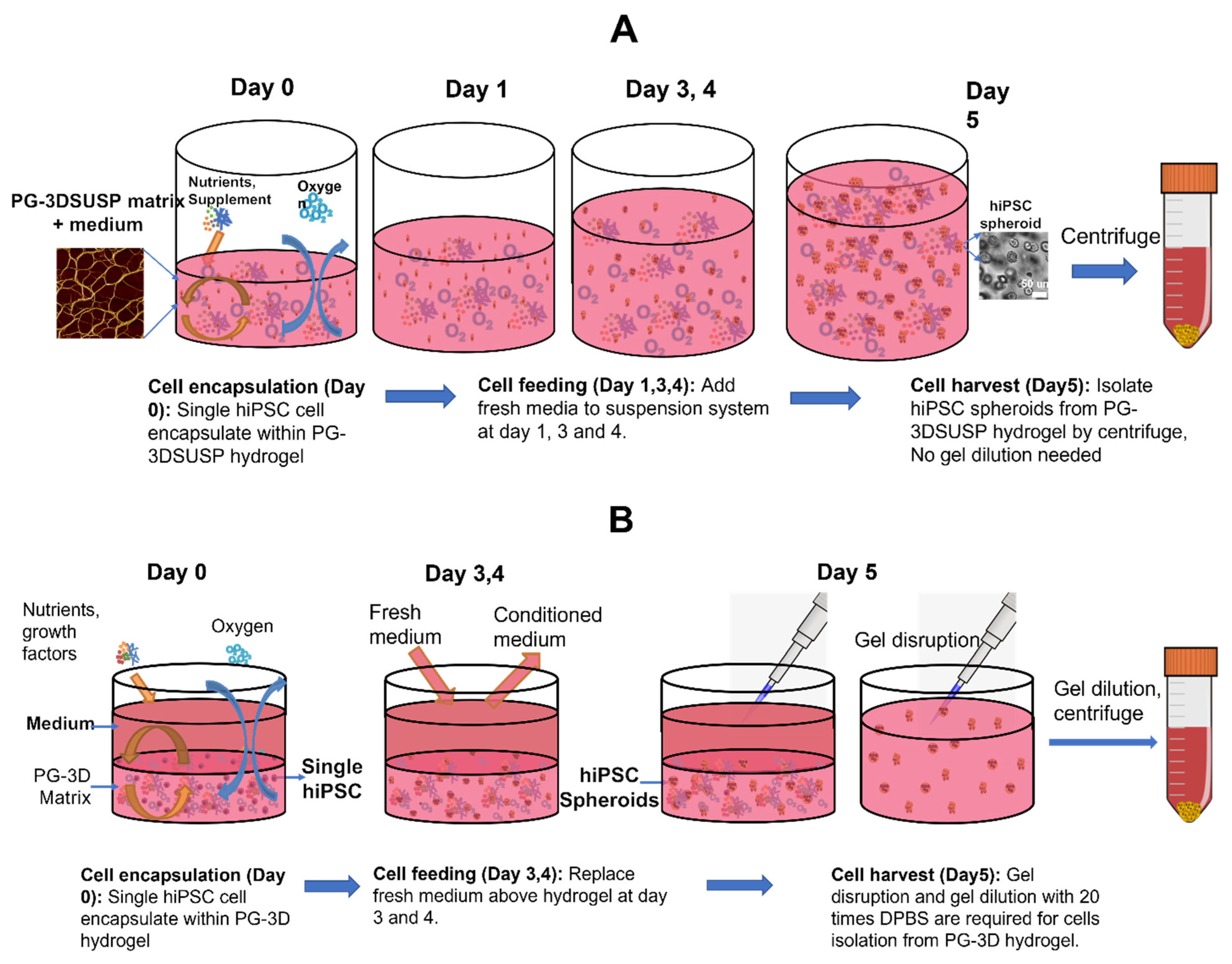 Foods 12 02713 g001 Foods 12 02713 g001