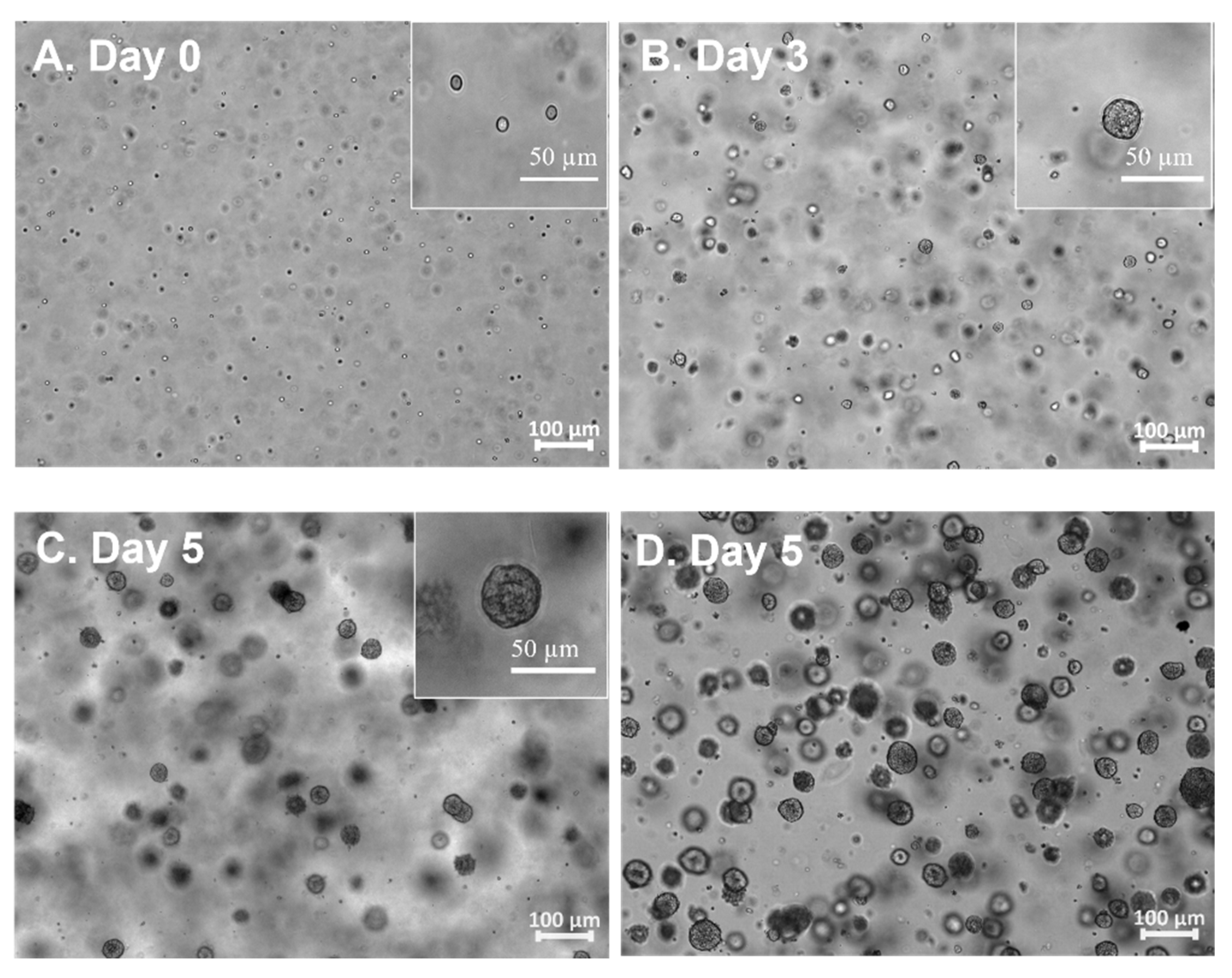 Foods 12 02713 g002 Foods 12 02713 g002