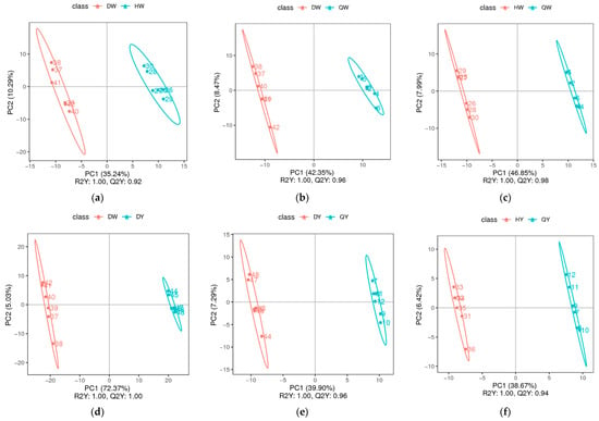 Foods | Free Full-Text | Quasi-Targeted Metabolomics Approach Reveal ...