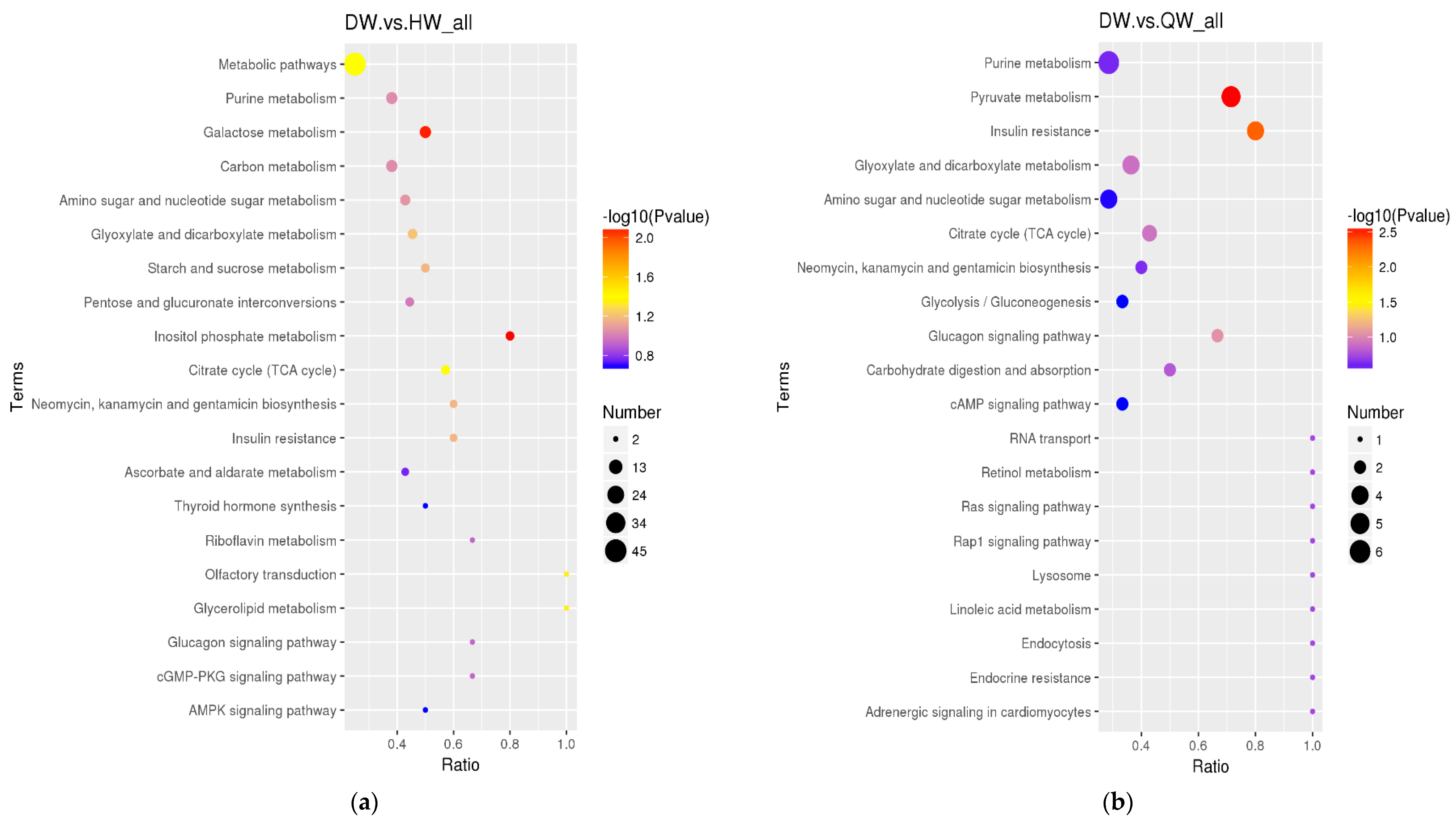 Foods 12 02765 g005a