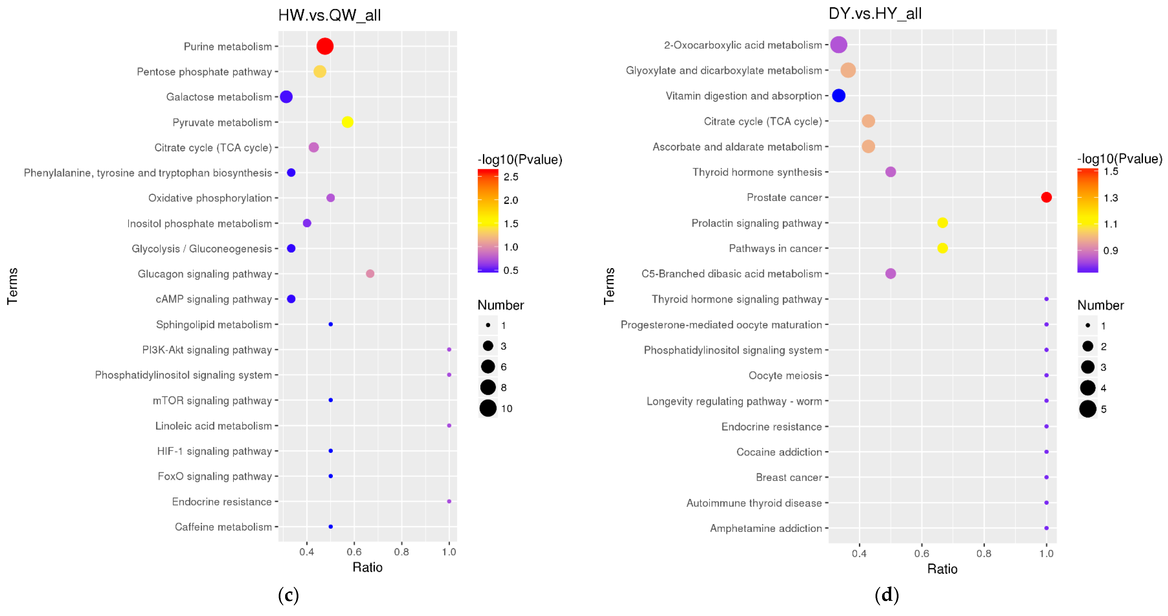 Foods 12 02765 g005b