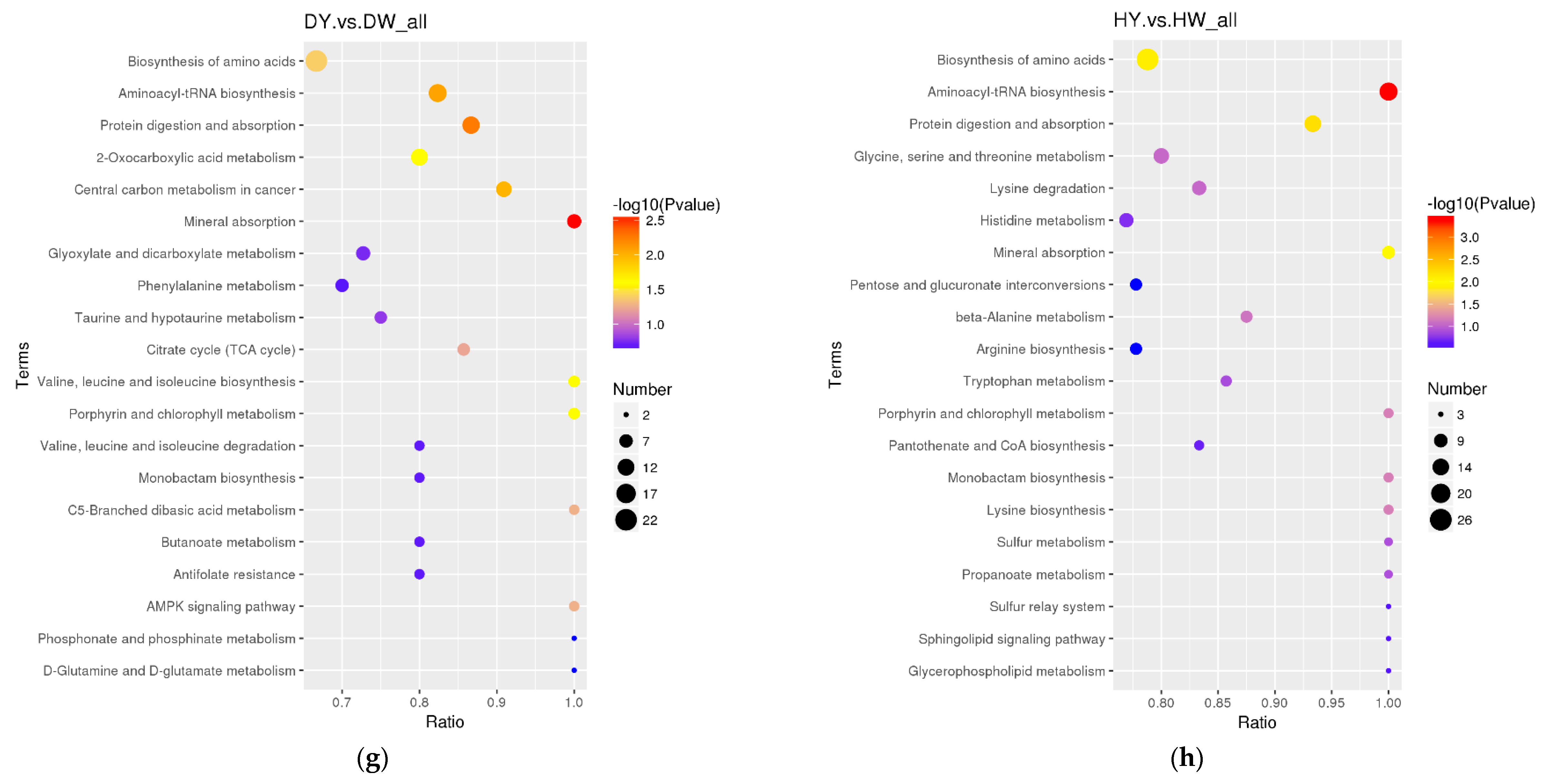 Foods 12 02765 g005d