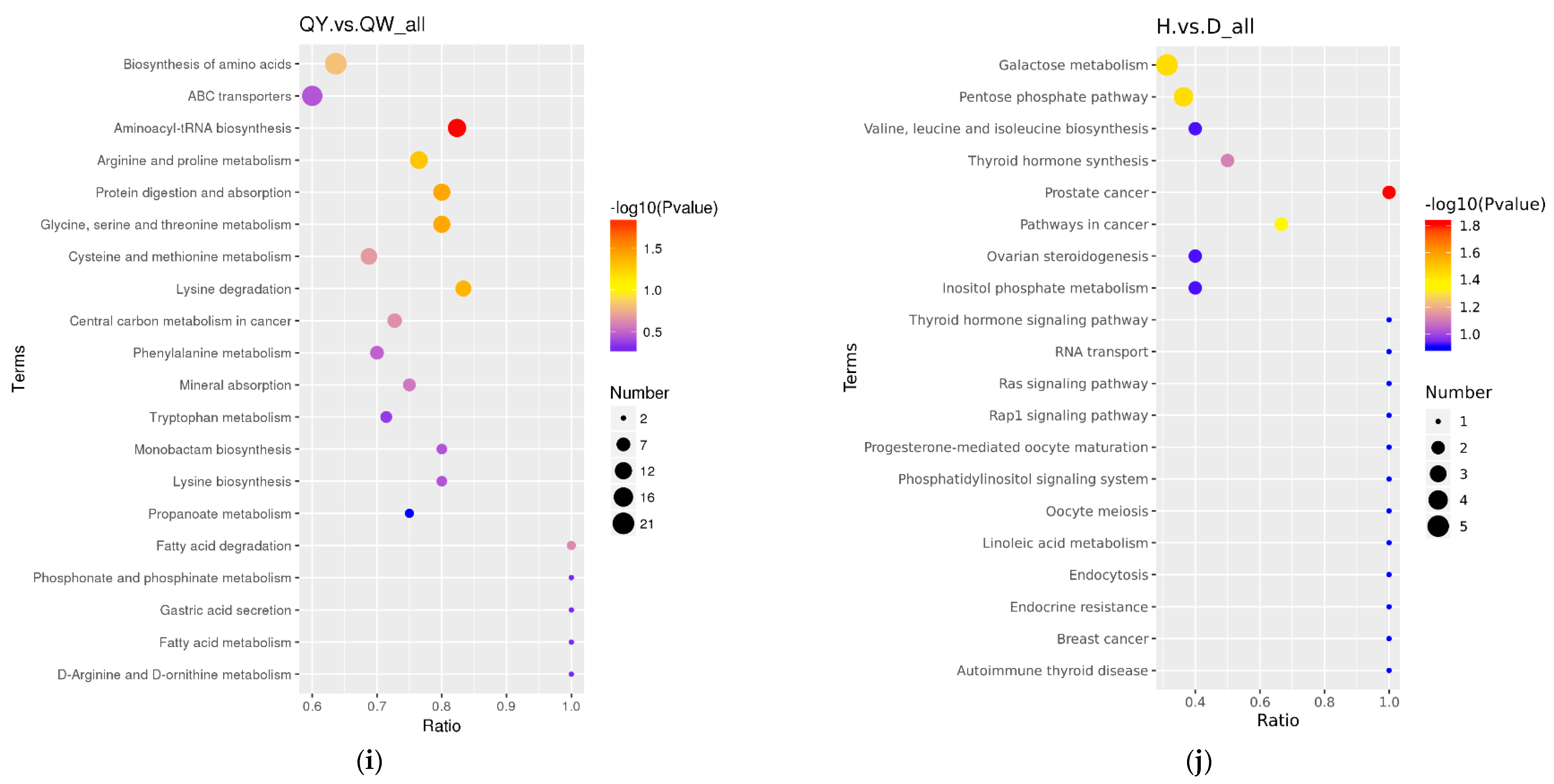 Foods 12 02765 g005e