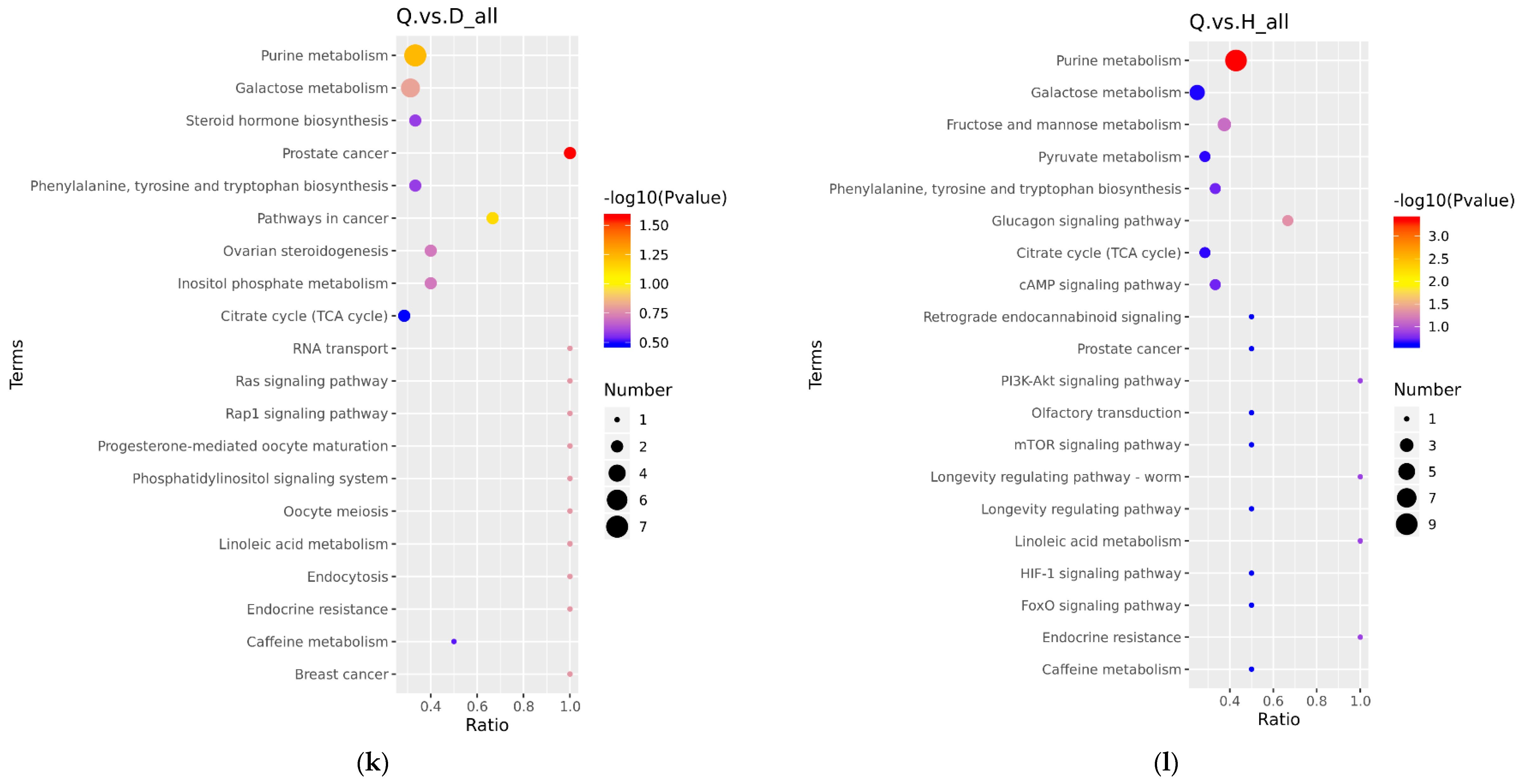 Foods 12 02765 g005f