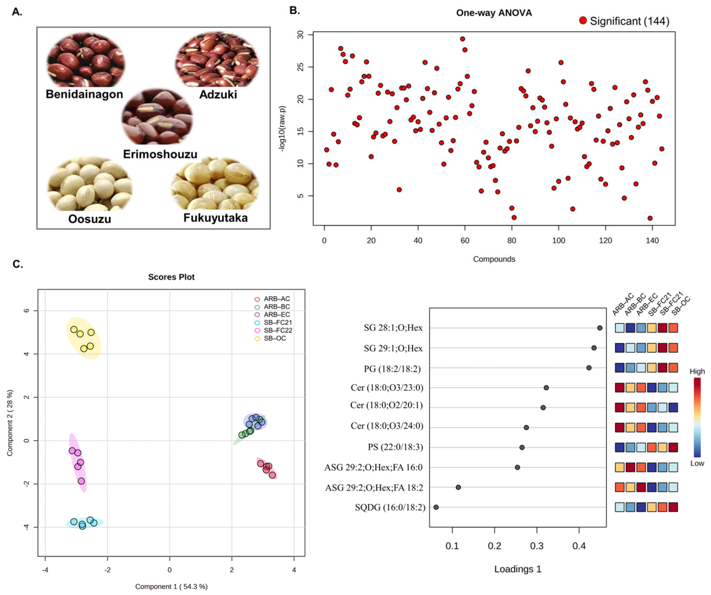 Foods 12 02784 g001 Foods 12 02784 g001