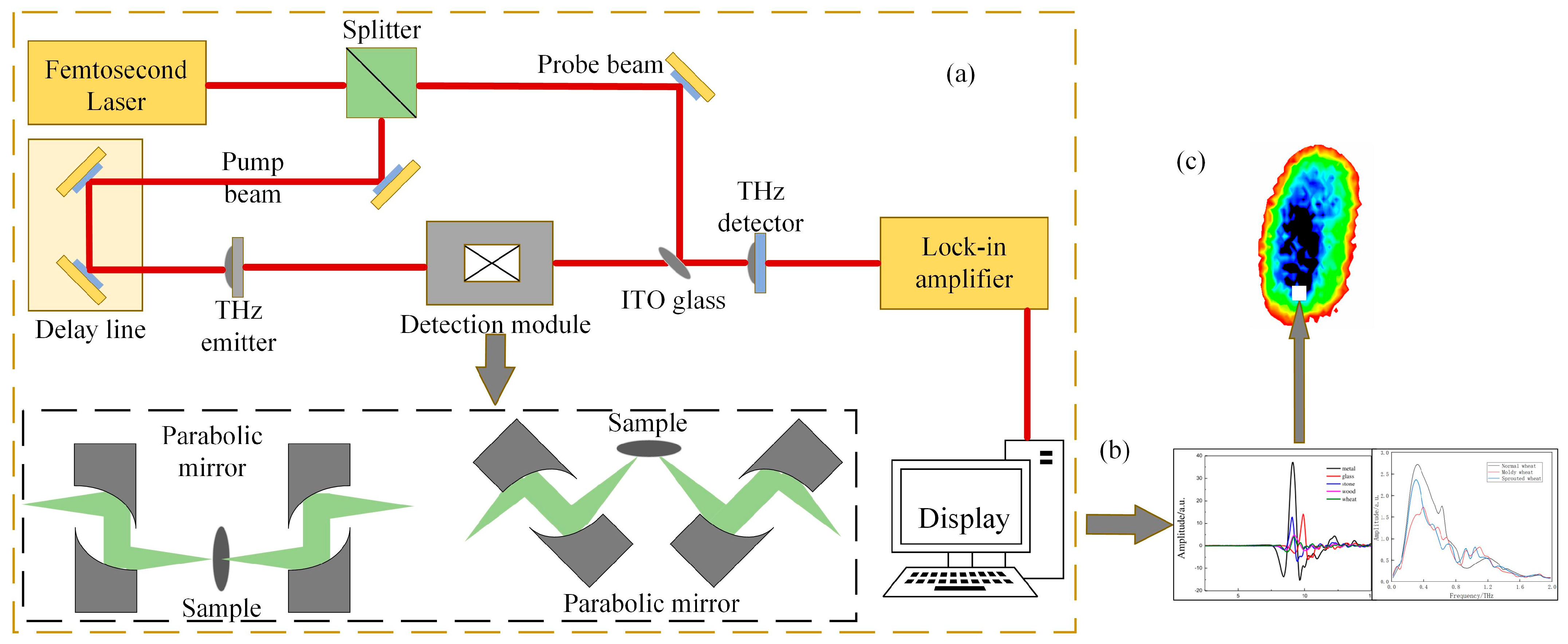 Foods 12 02819 g001 Foods 12 02819 g001