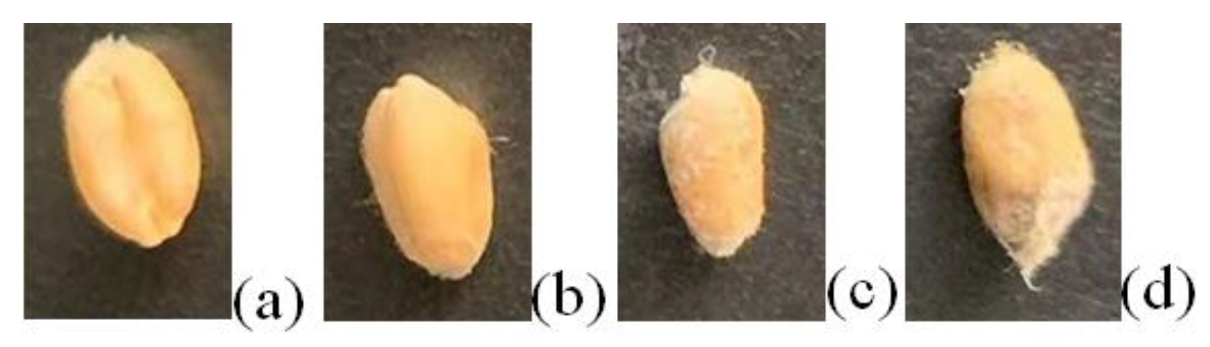 Foods 12 02819 g002 Foods 12 02819 g002