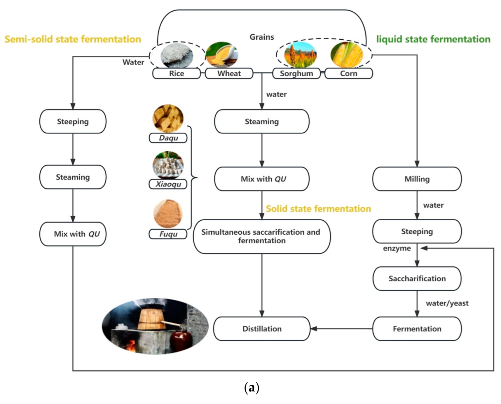 Foods 12 02841 g003a Foods 12 02841 g003a