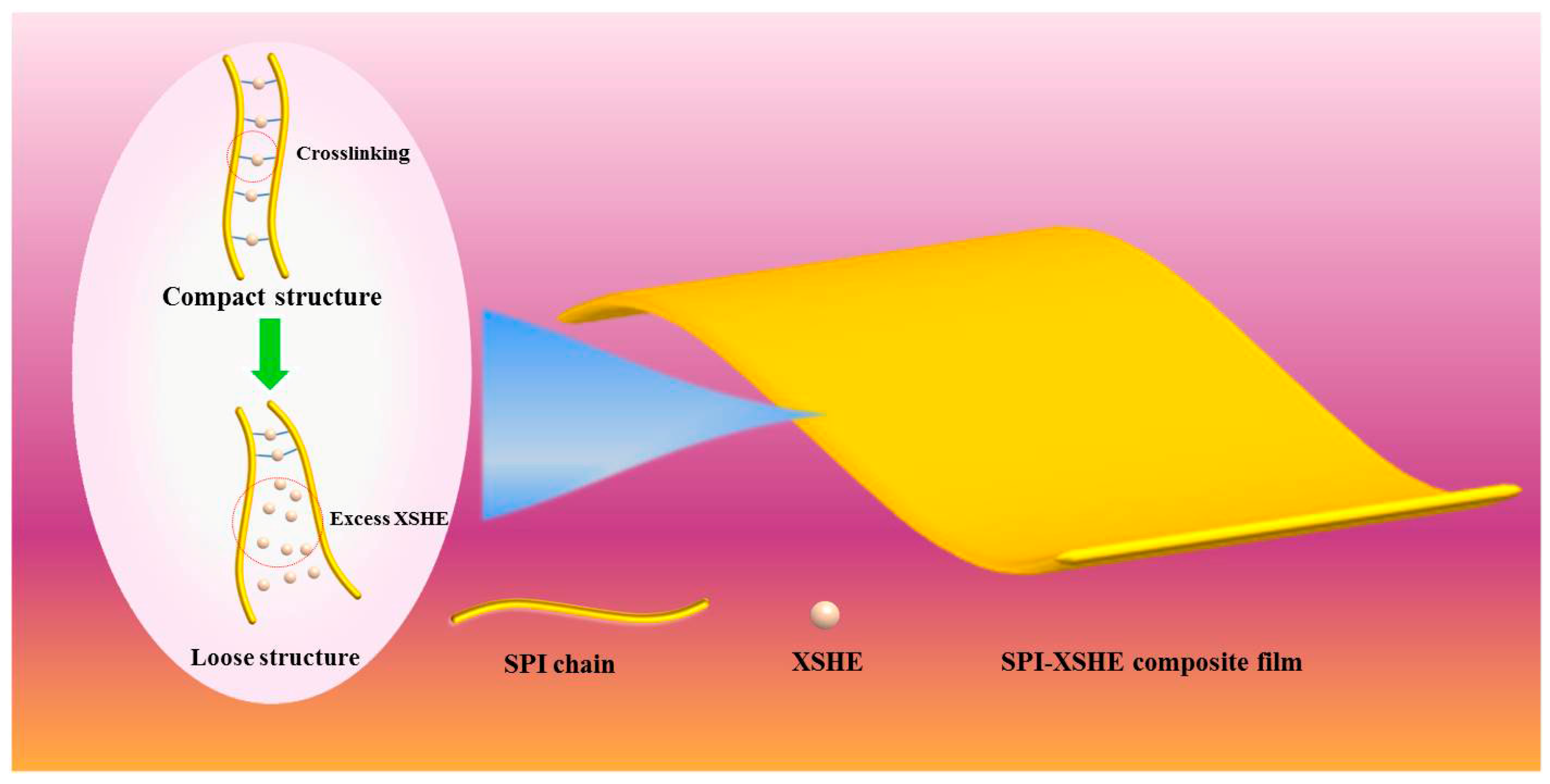 Foods 12 02842 sch001