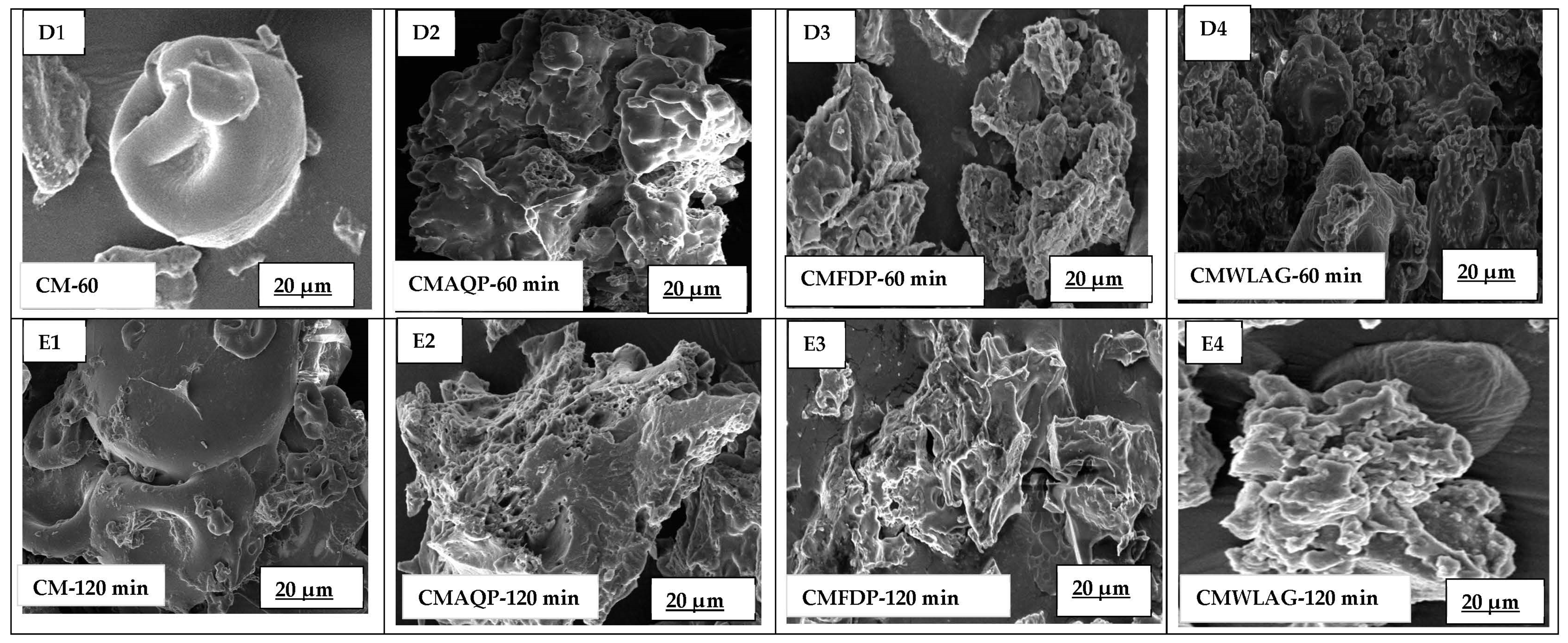 Foods 12 02844 g002b Foods 12 02844 g002b