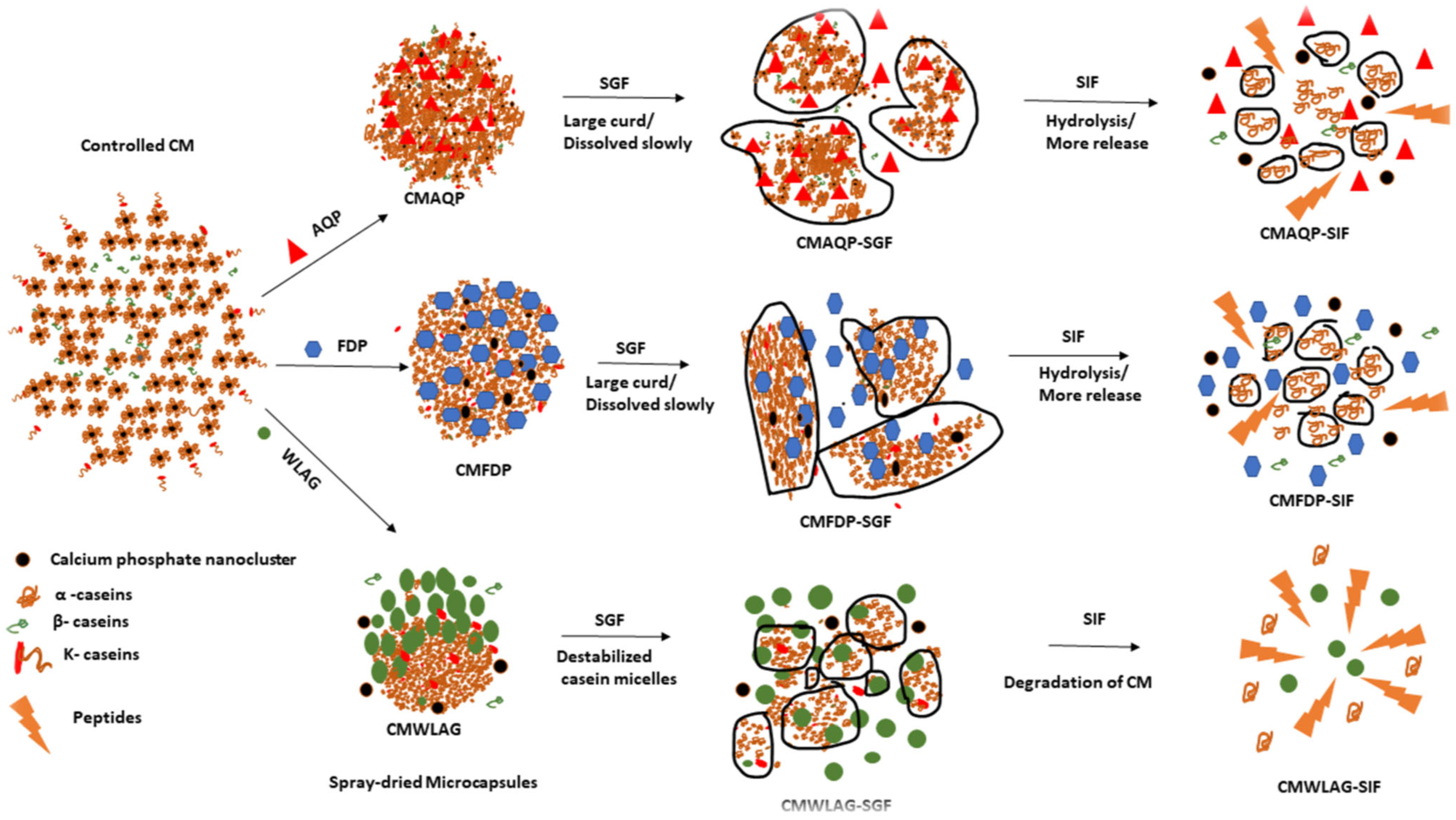 Foods 12 02844 g004 Foods 12 02844 g004