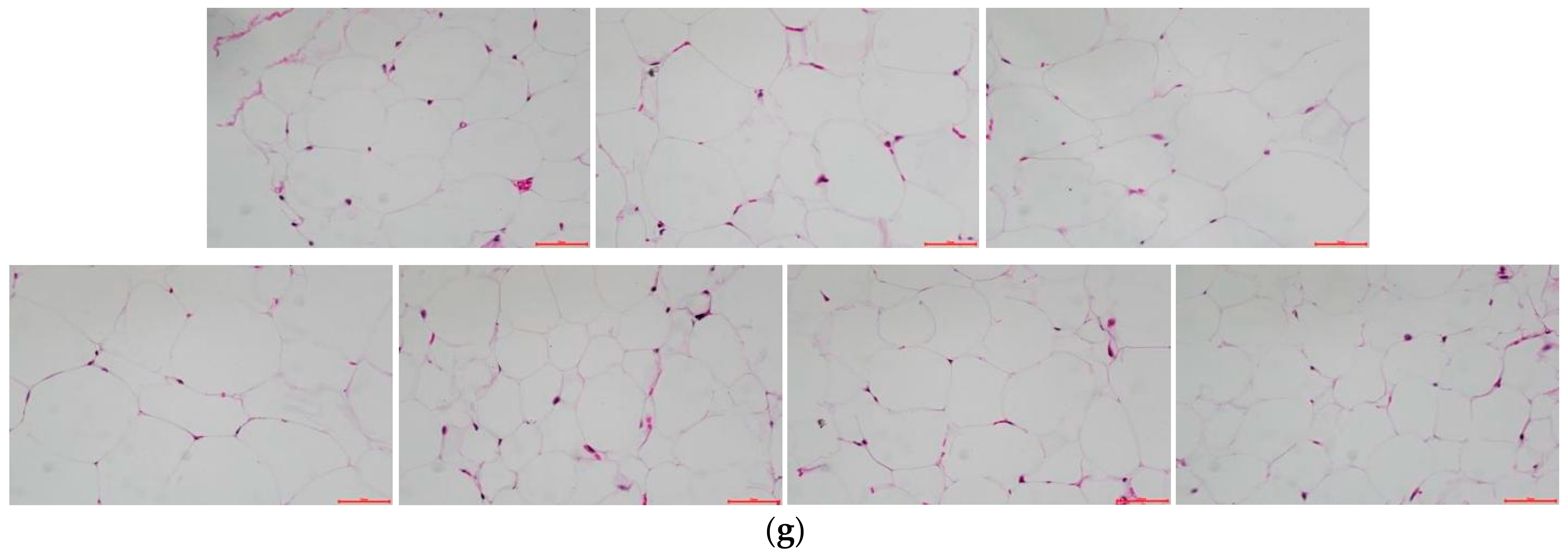 Foods 12 02854 g006b Foods 12 02854 g006b