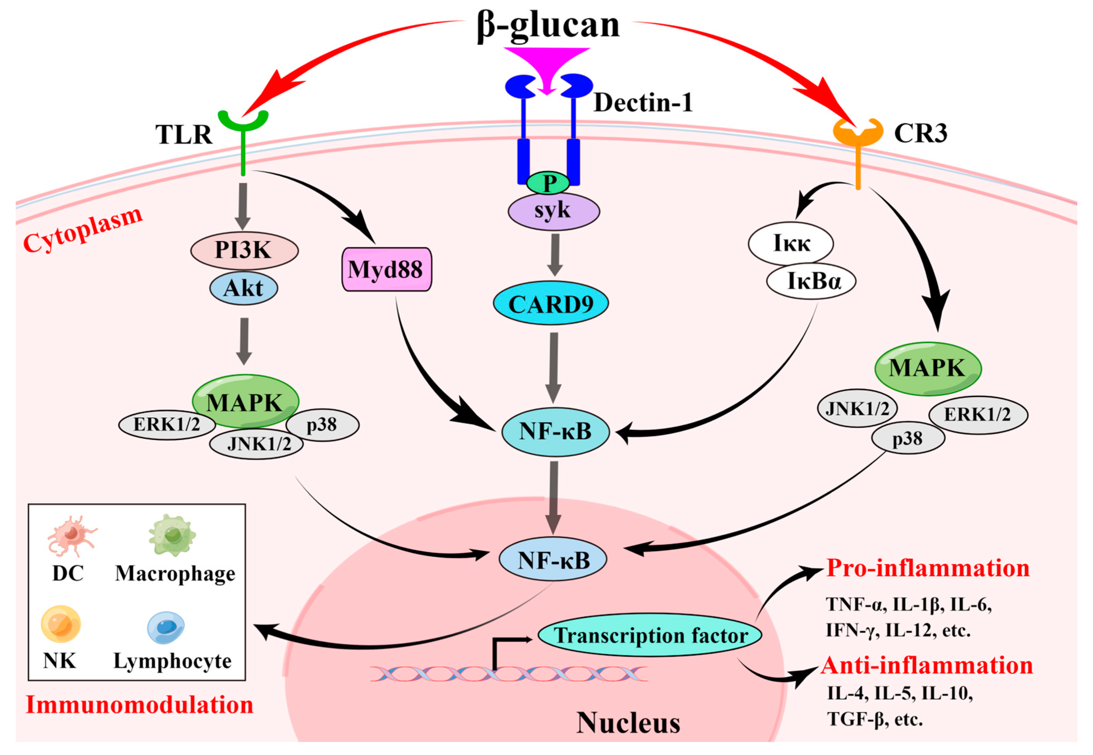 Foods | Free Full-Text | Recent Advances in the Preparation, Structure ...