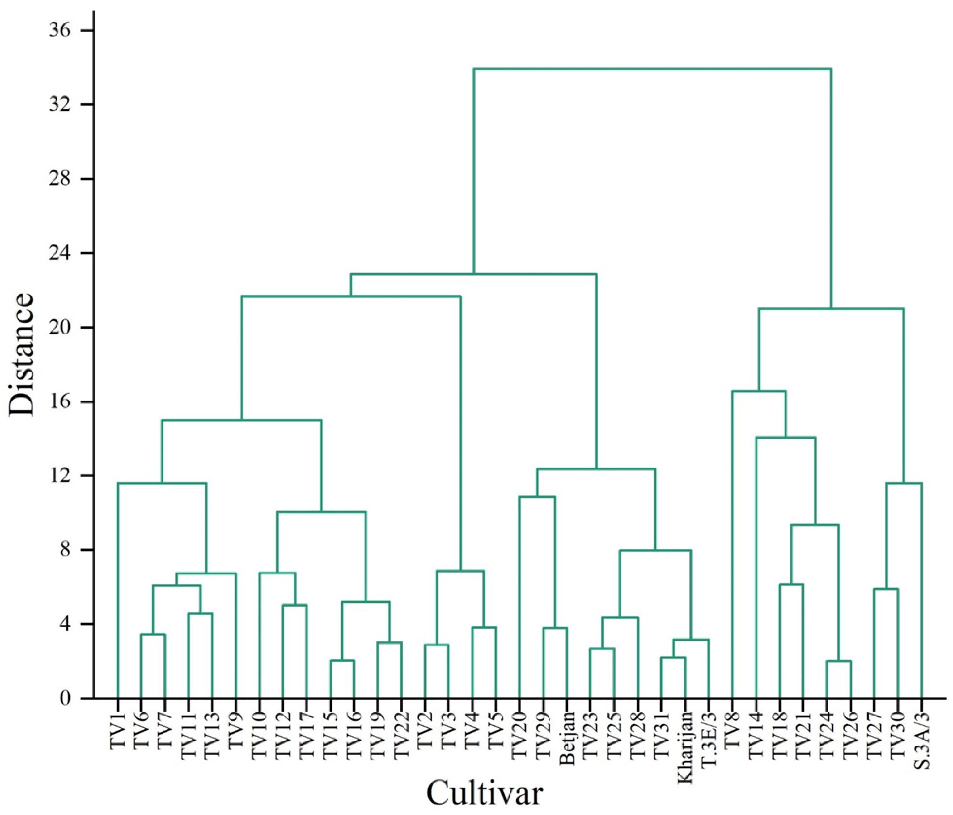 Foods 12 03196 g004 Foods 12 03196 g004