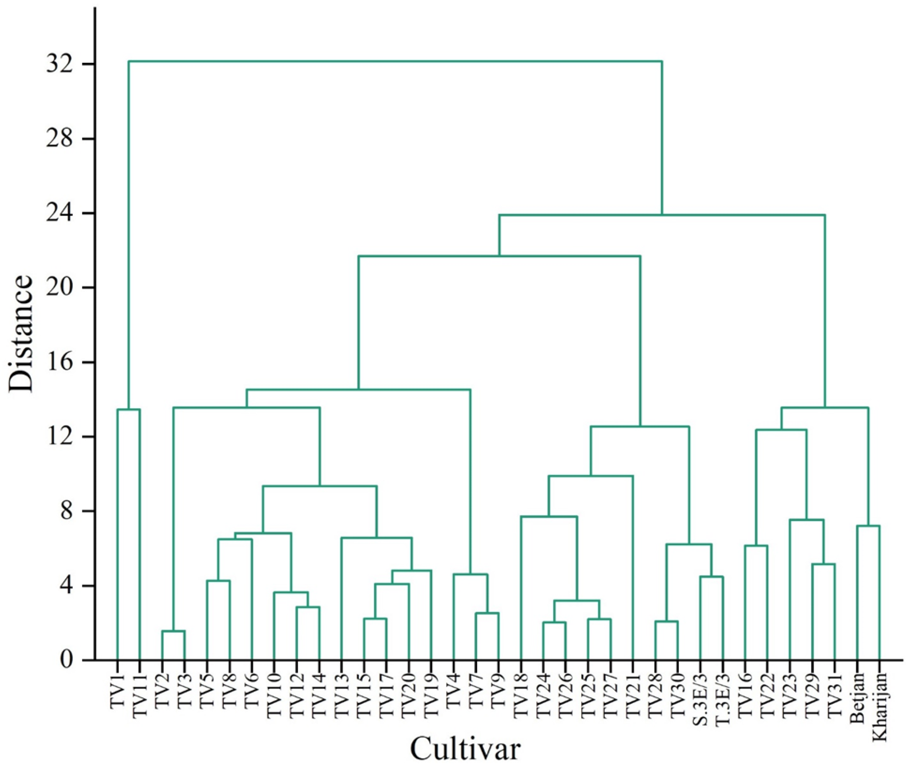 Foods 12 03196 g005 Foods 12 03196 g005