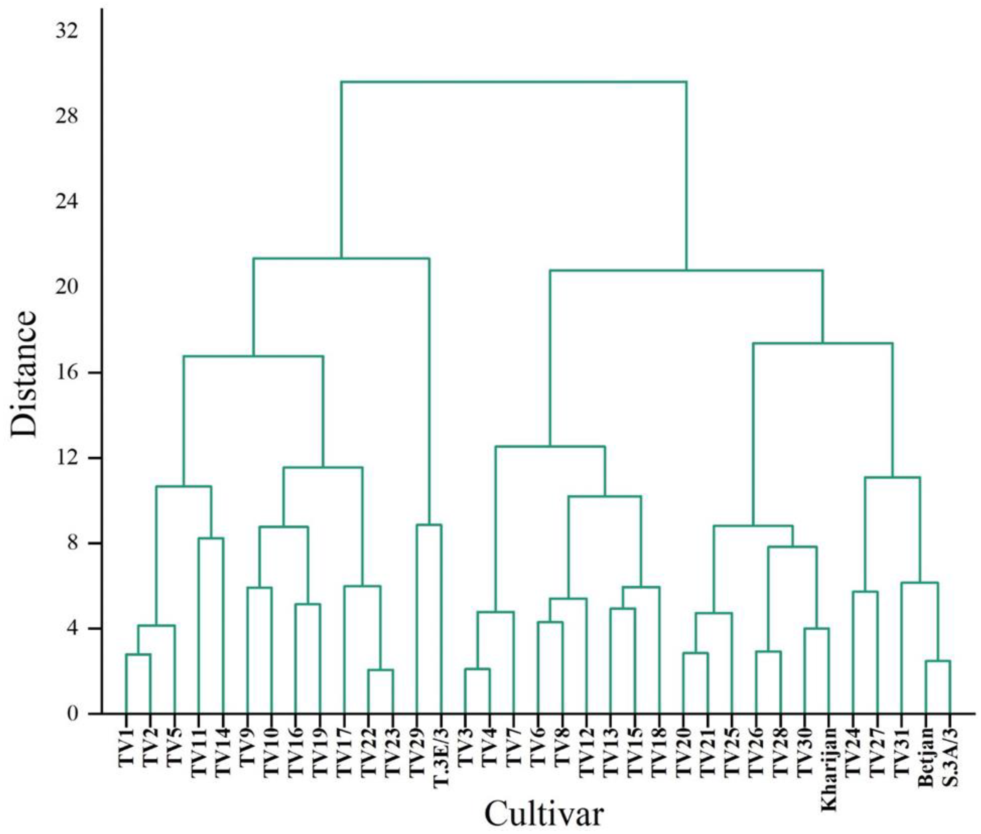 Foods 12 03196 g006 Foods 12 03196 g006
