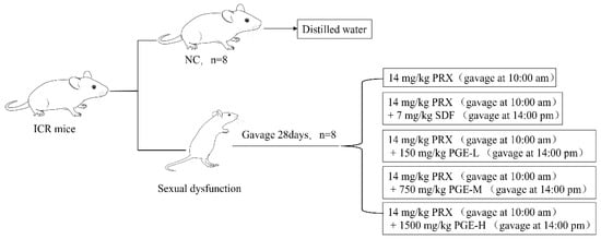 Foods Free Full Text Extract of Pfaffia glomerata Ameliorates