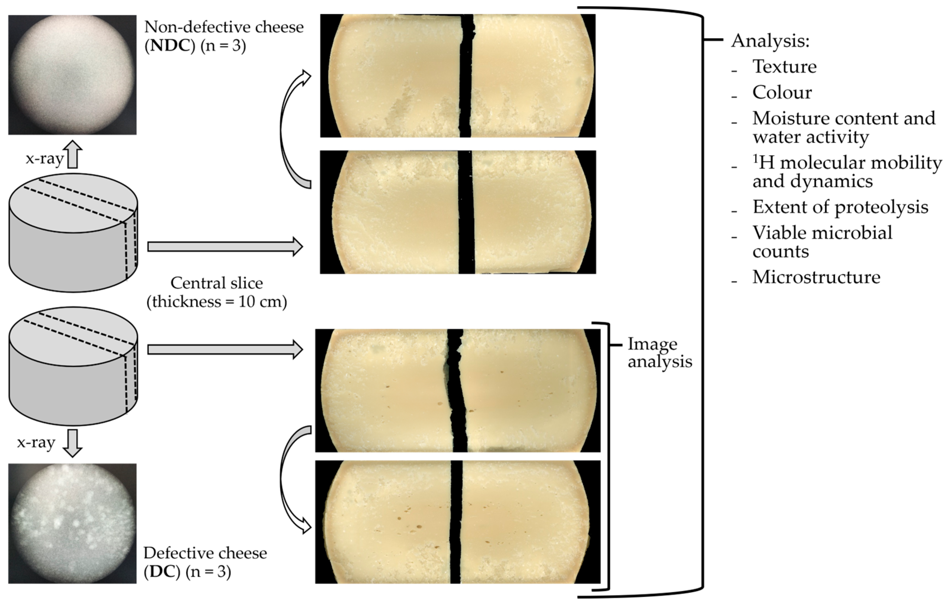 Foods | Free Full-Text | Investigating Structural Defects in Extra