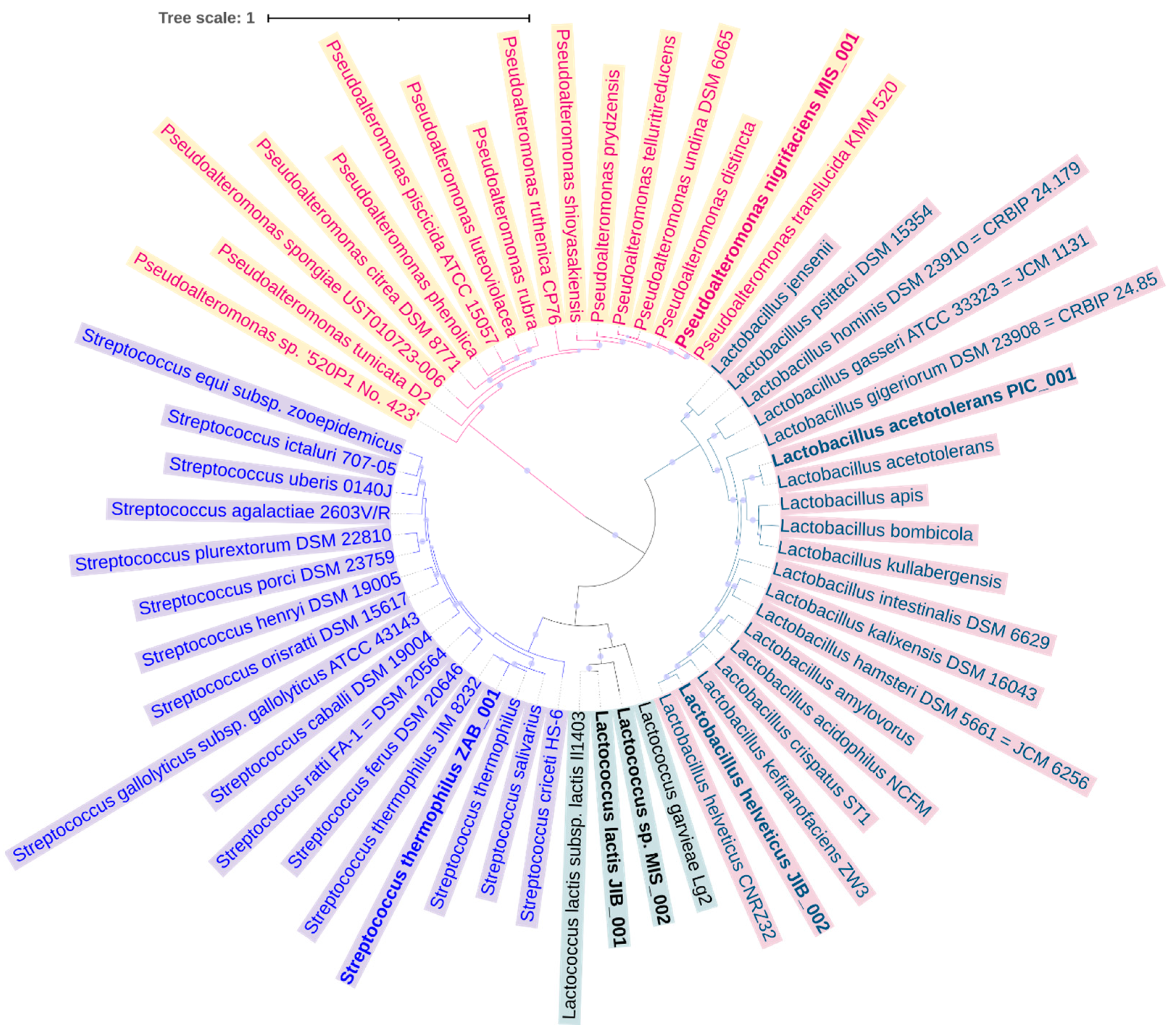 Foods 12 03342 g004 Foods 12 03342 g004
