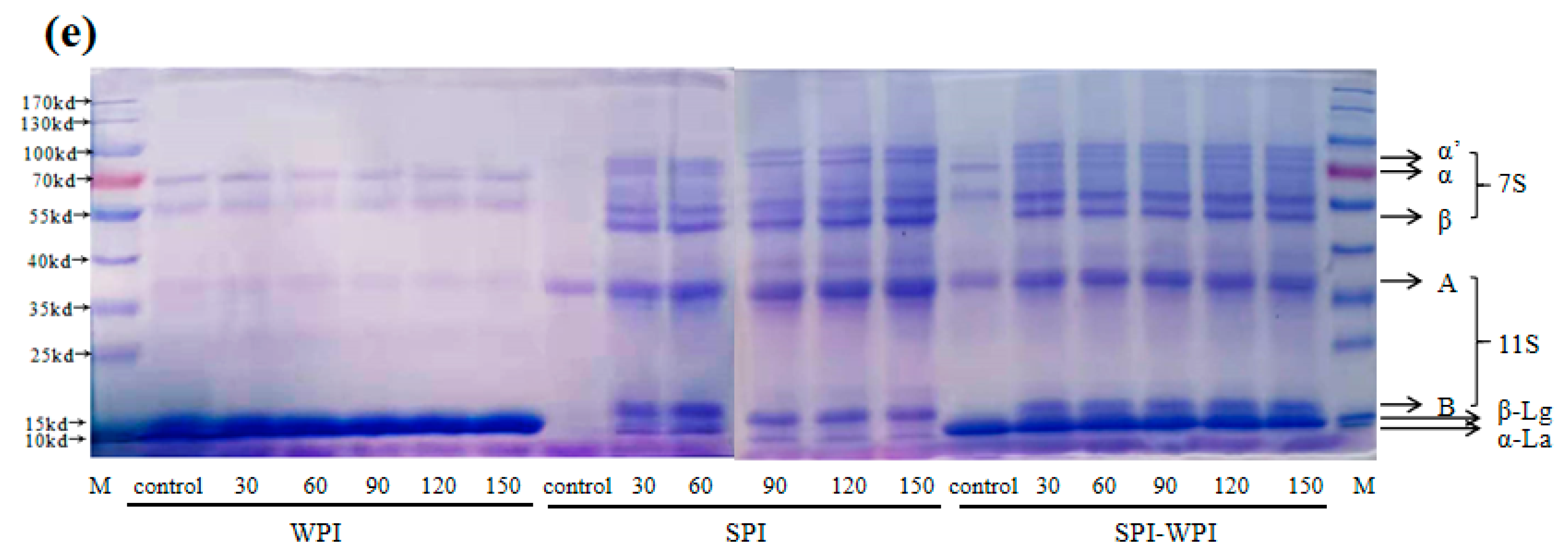 Foods 12 03358 g001b