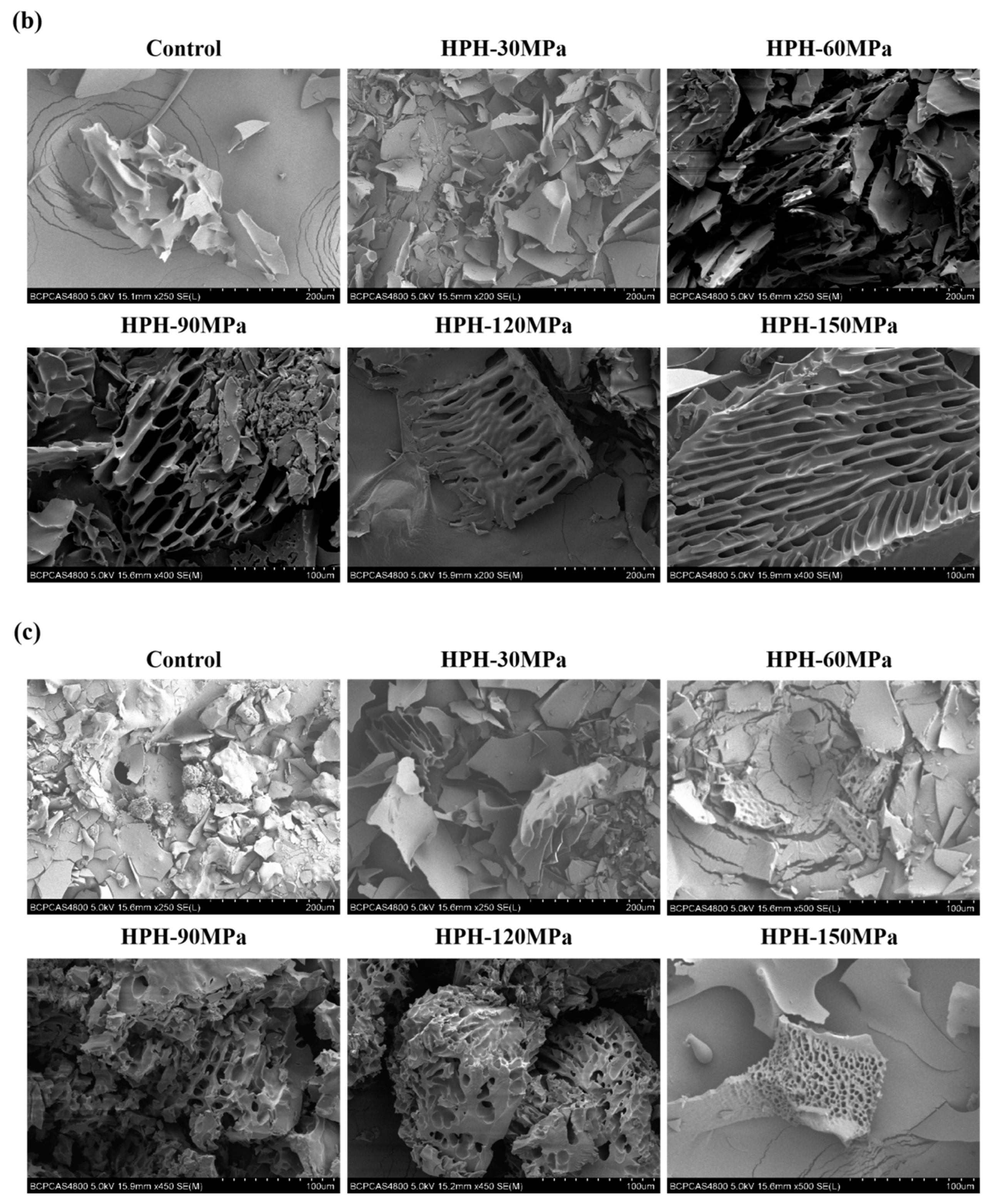 Foods 12 03358 g004b