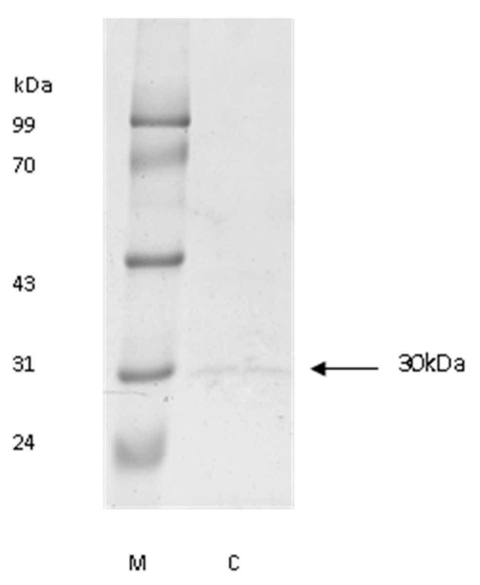 Foods 12 03517 g001 Foods 12 03517 g001