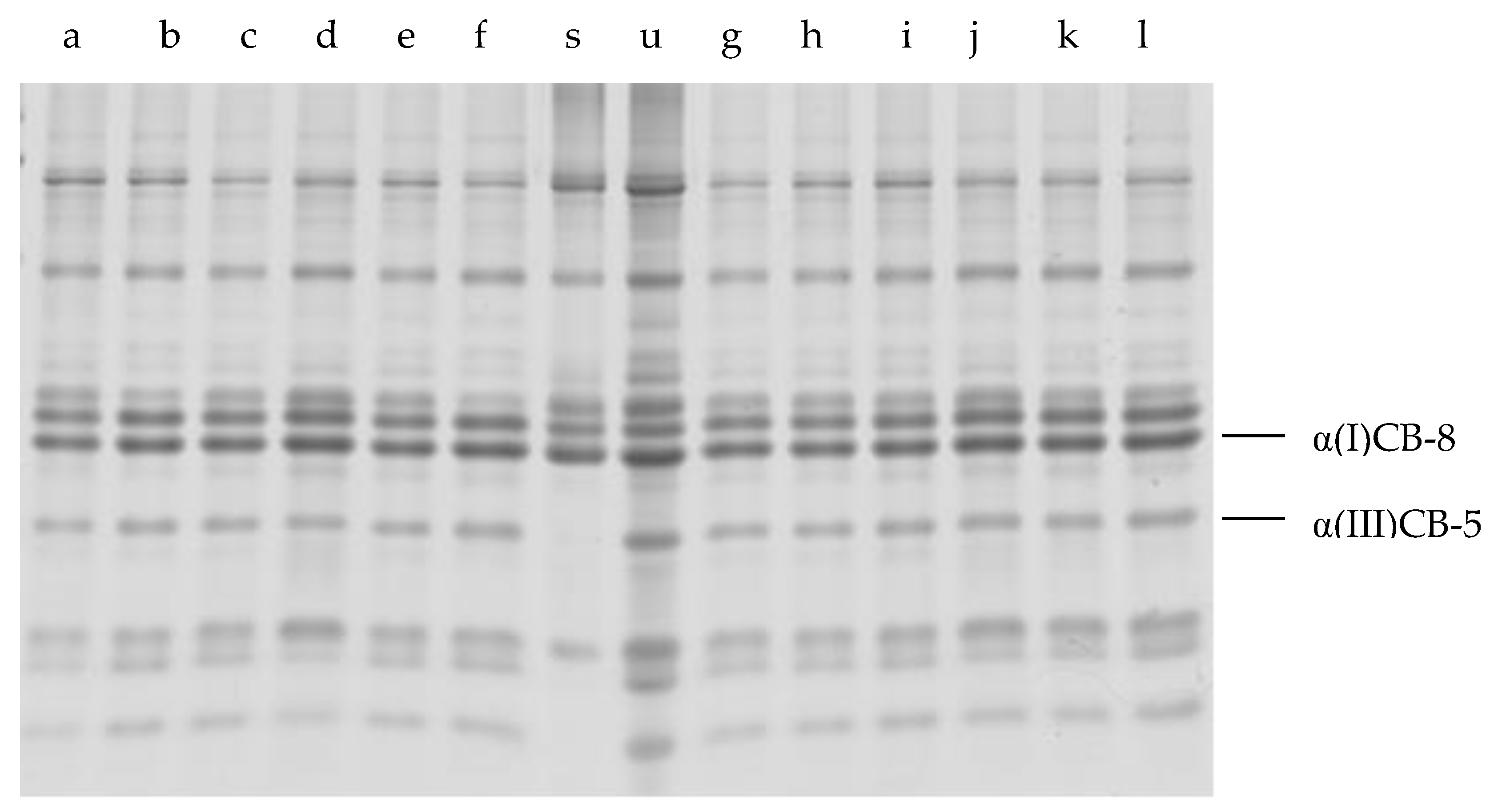 Foods 12 03517 g003 Foods 12 03517 g003