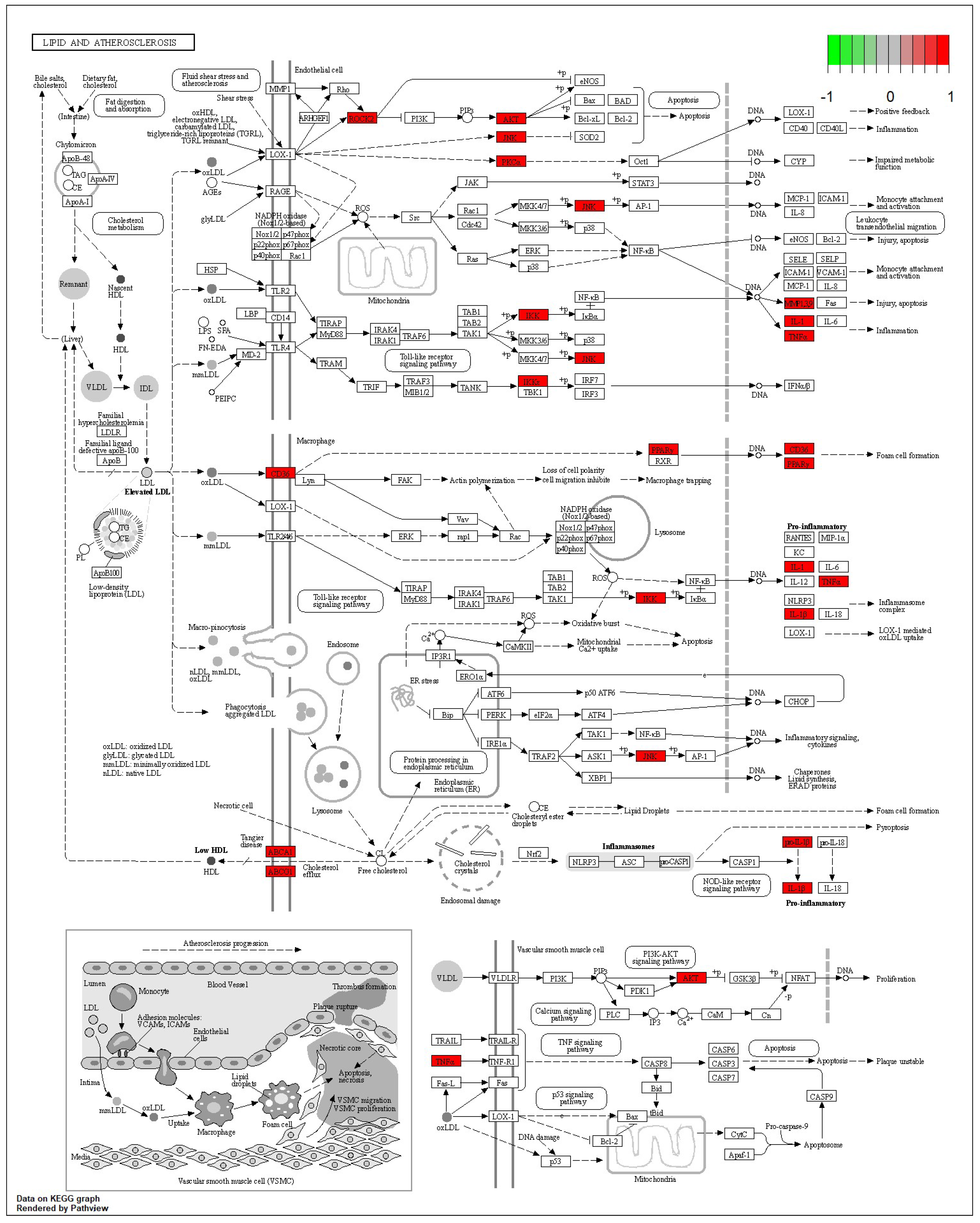 Foods 12 03608 g012 Foods 12 03608 g012
