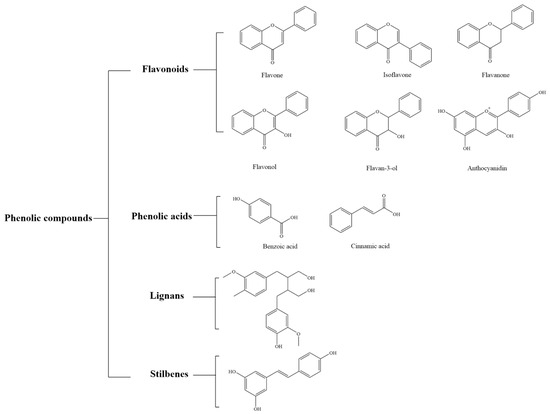 Chemical free waterproof paper using natural enzymes