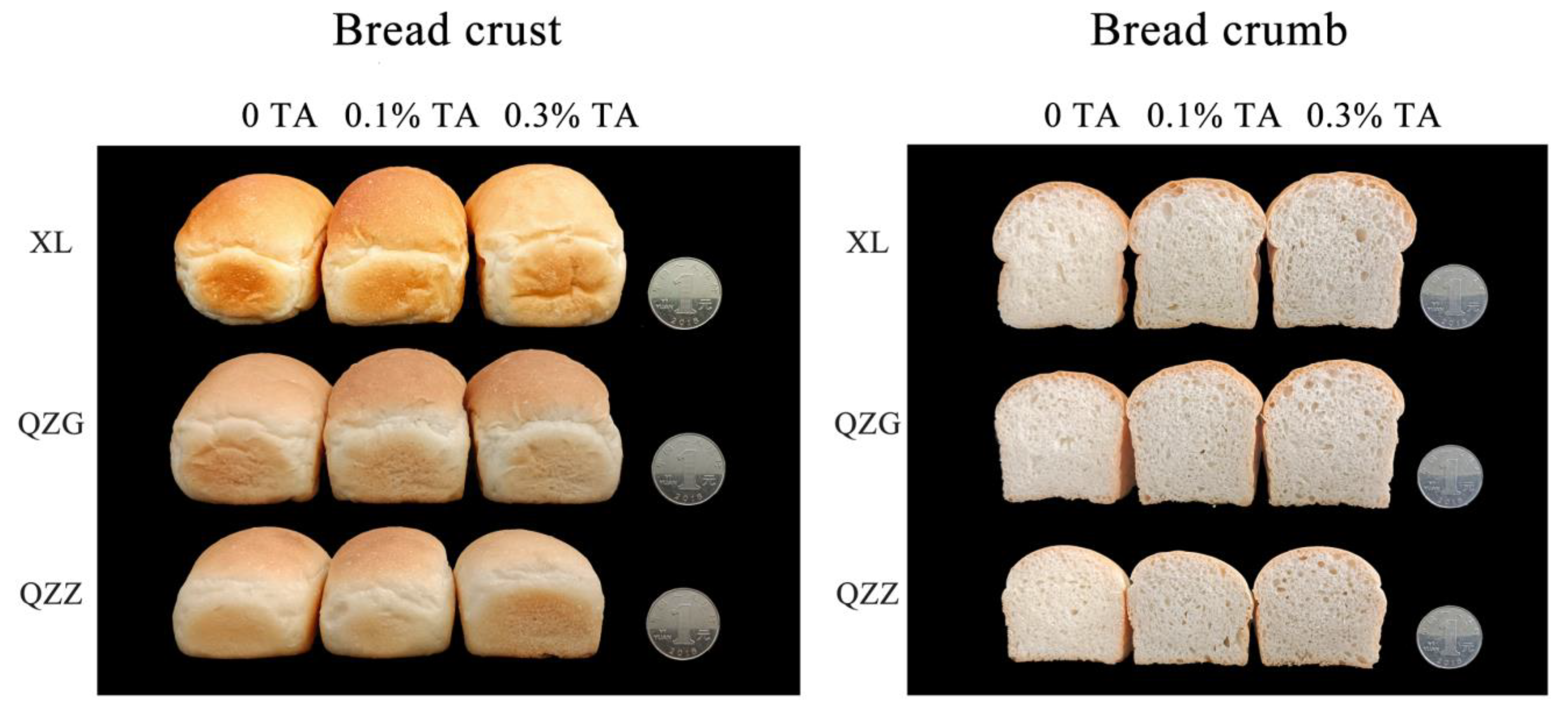 Foods 12 03756 g002 Foods 12 03756 g002