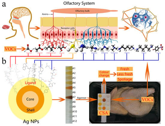 Foods | Free Full-Text | Silver Nanoparticle Sensor Array-Based