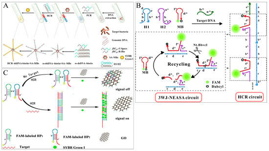 Aptamer recognition-promoted hybridization chain reaction for amplified  label-free and enzyme-free fluorescence analysis of pesticide -  ScienceDirect