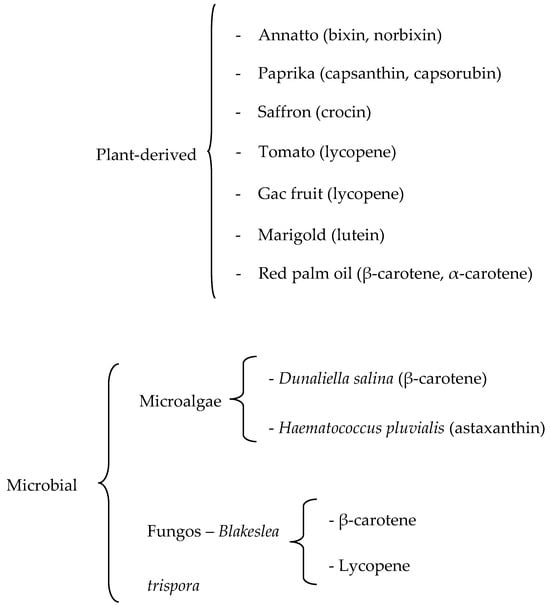 Foods | Free Full-Text | Comprehensive Update on Carotenoid 