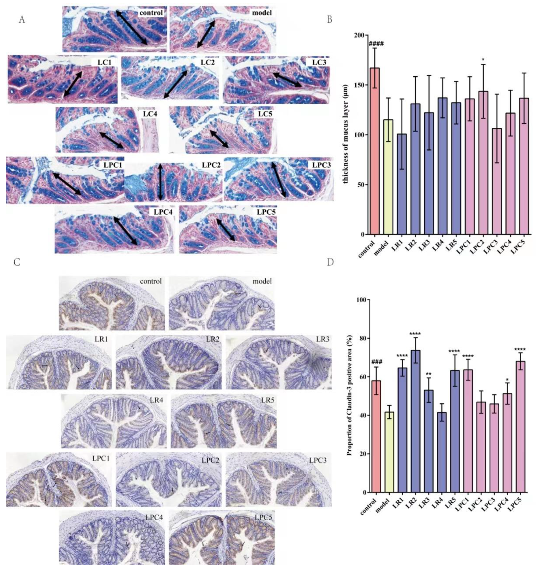 Foods 12 04176 g005 Foods 12 04176 g005