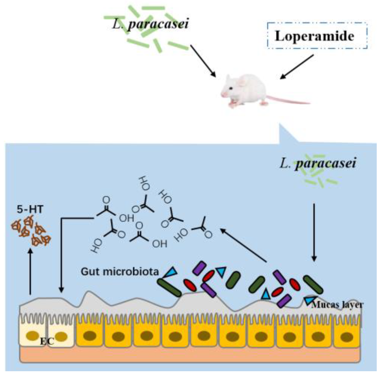 Foods 12 04176 g011 Foods 12 04176 g011