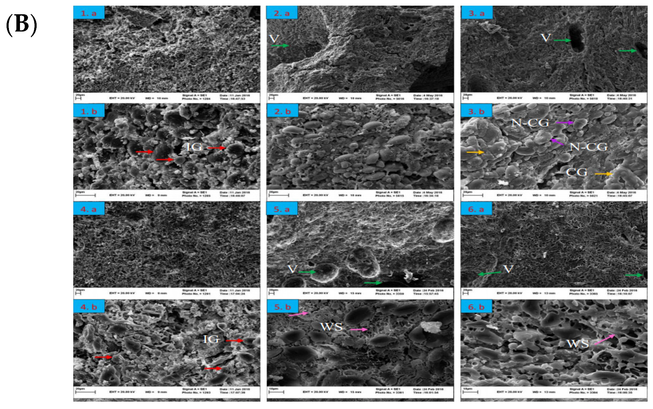 Foods 12 04221 g003b Foods 12 04221 g003b