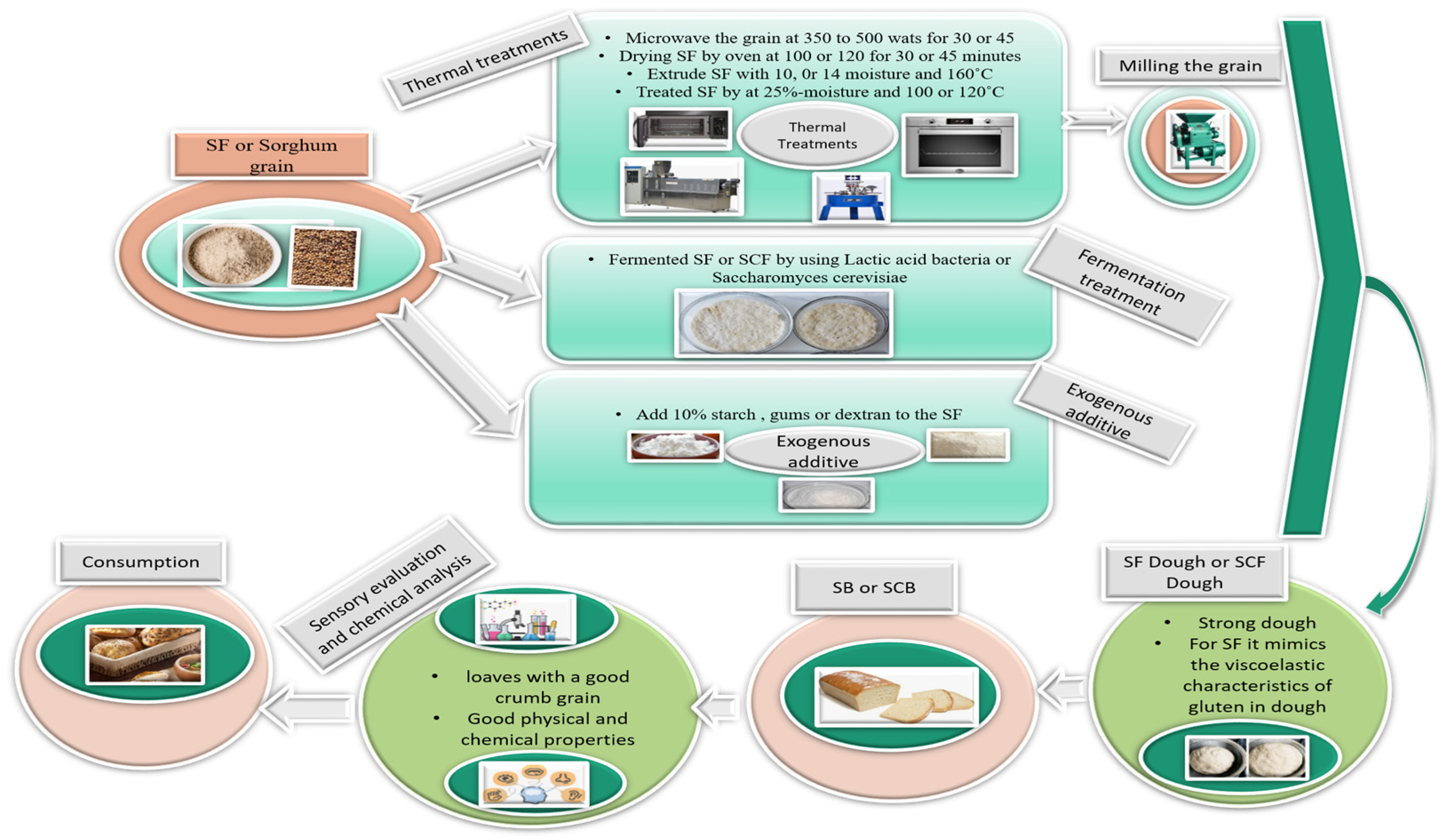 Foods 12 04221 g005 Foods 12 04221 g005