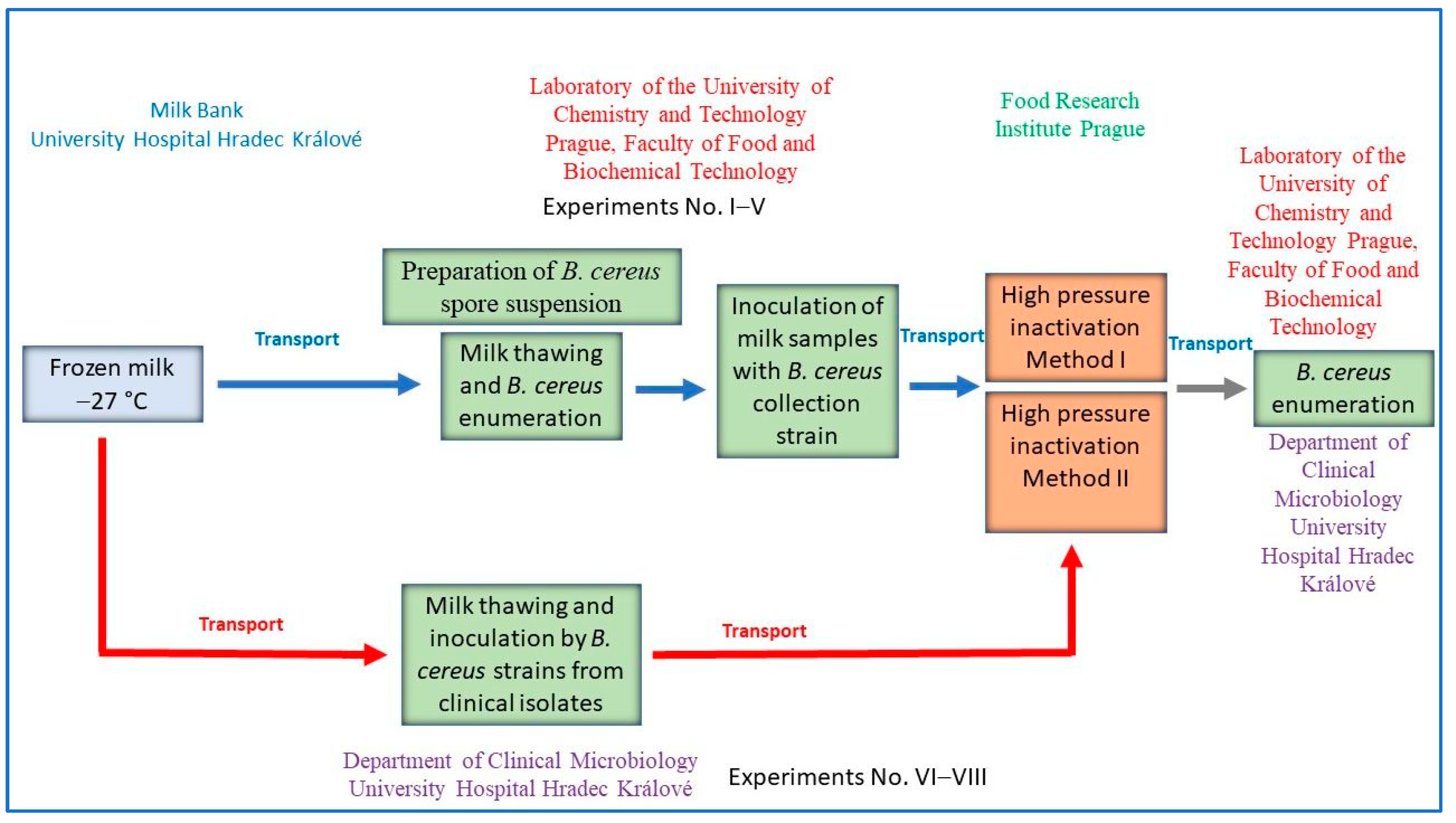 https://www.mdpi.com/foods/foods-12-04245/article_deploy/html/images/foods-12-04245-g001.png