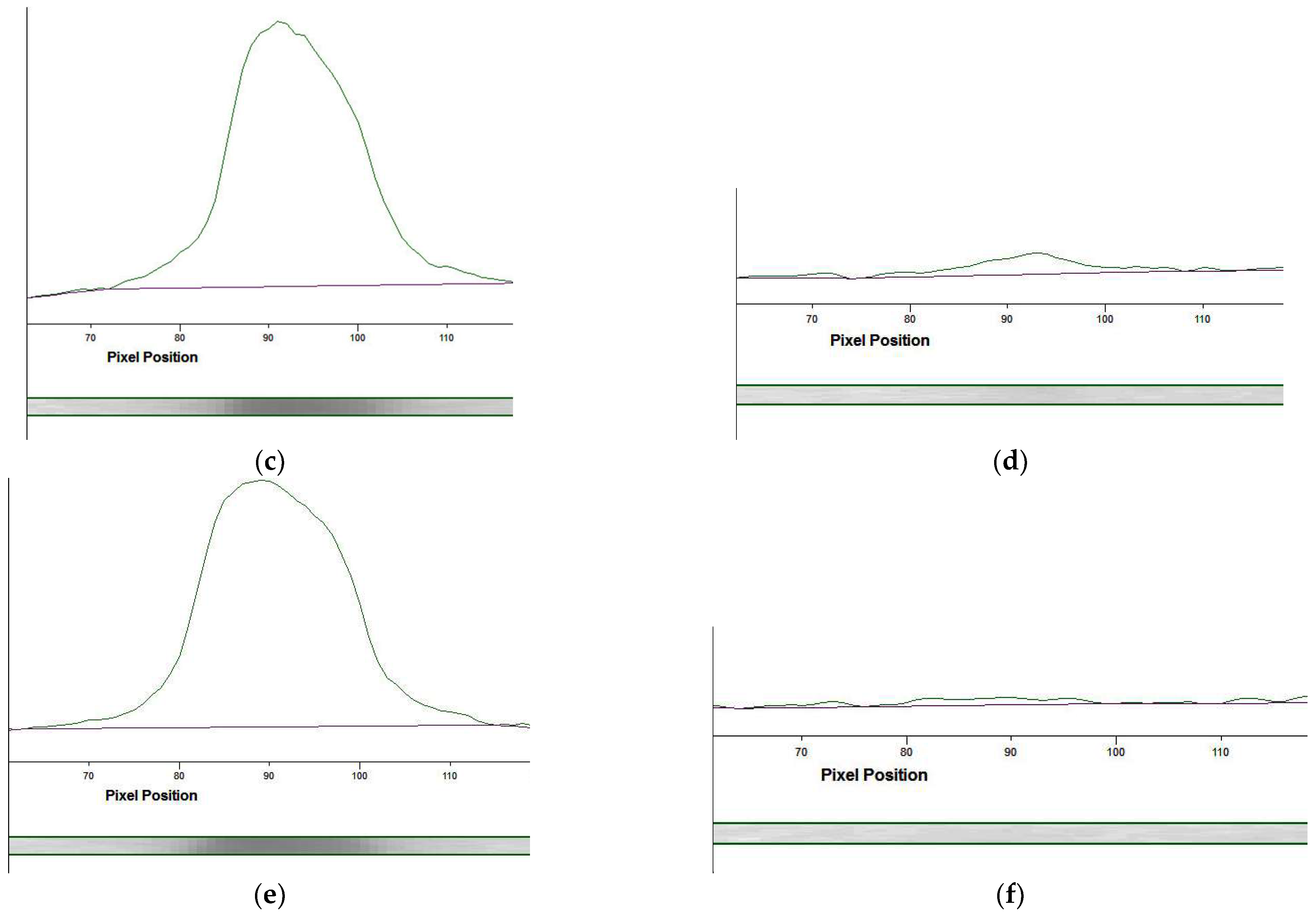 Foods 12 04252 g004b