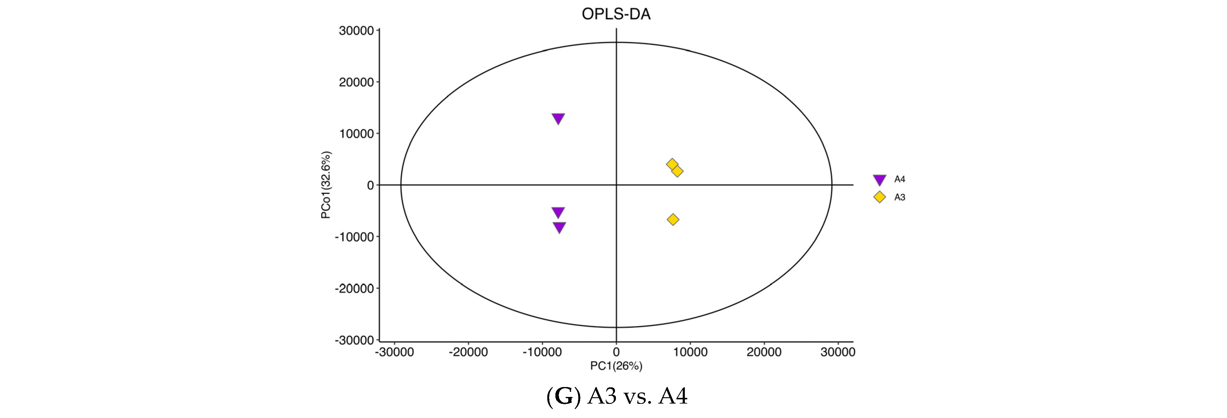 Foods 12 04486 g002b