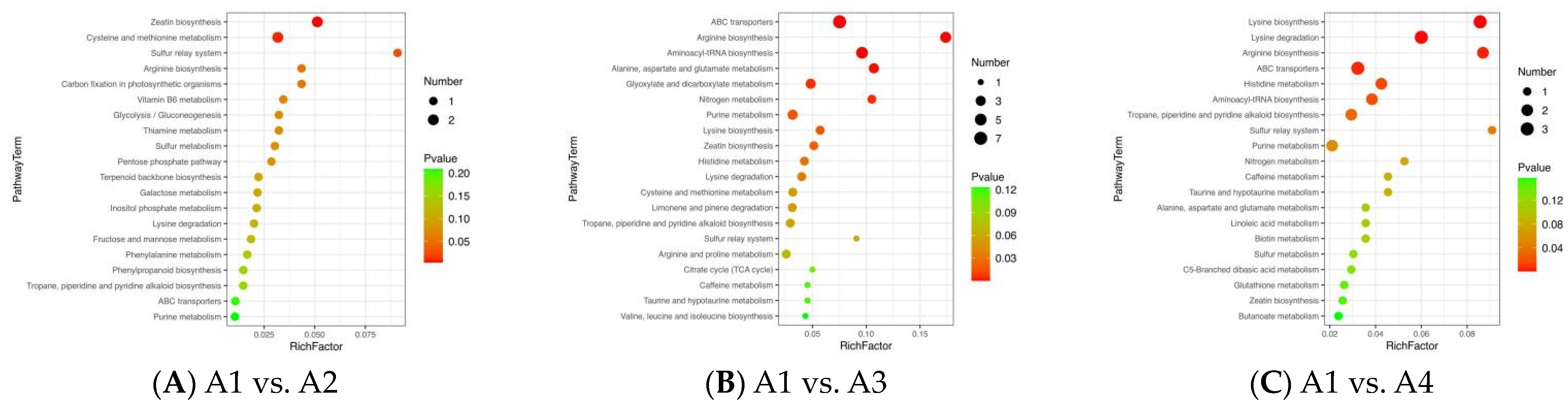 Foods 12 04486 g006a