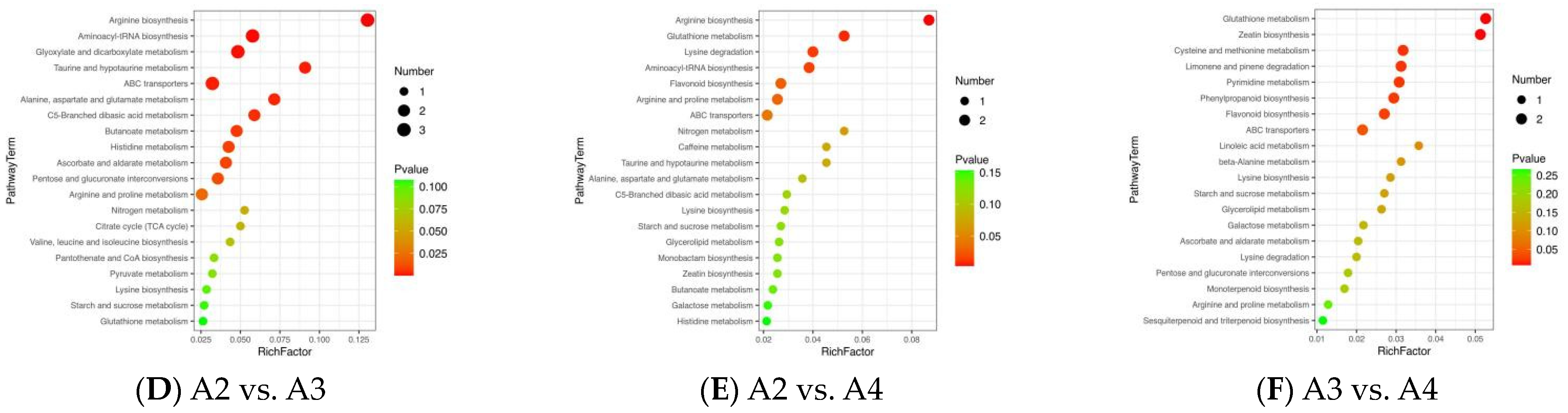 Foods 12 04486 g006b