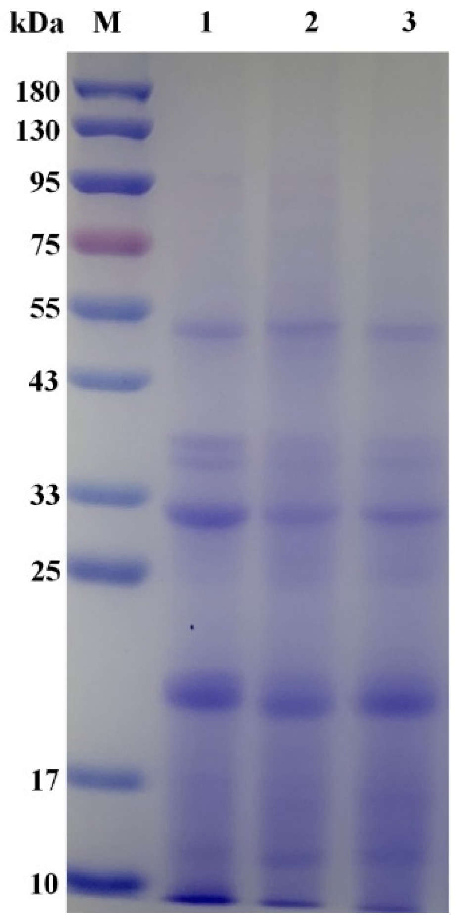 Foods | Free Full-Text | Enhancement of γ-Aminobutyric Acid 