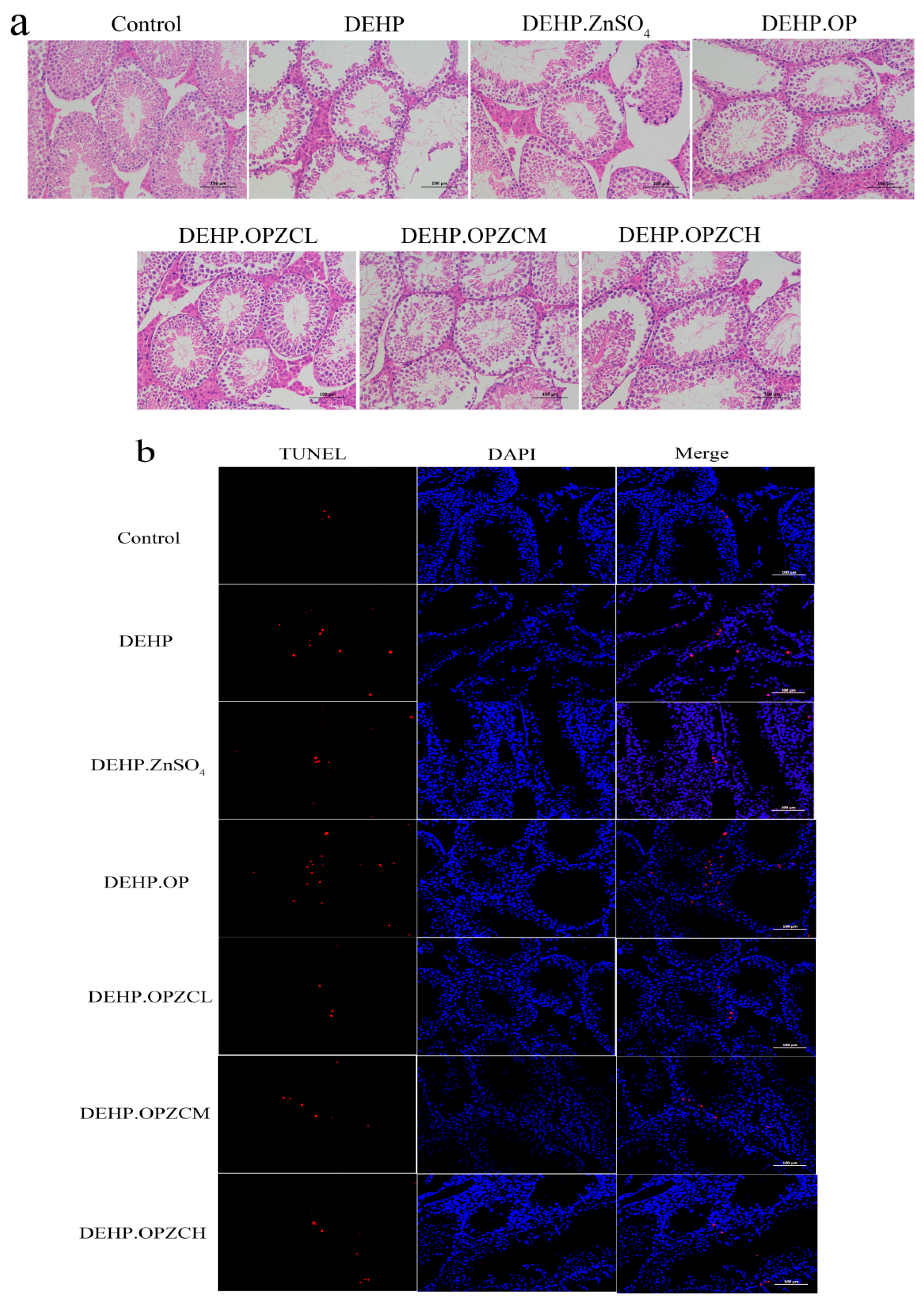 Foods 13 00093 g005a