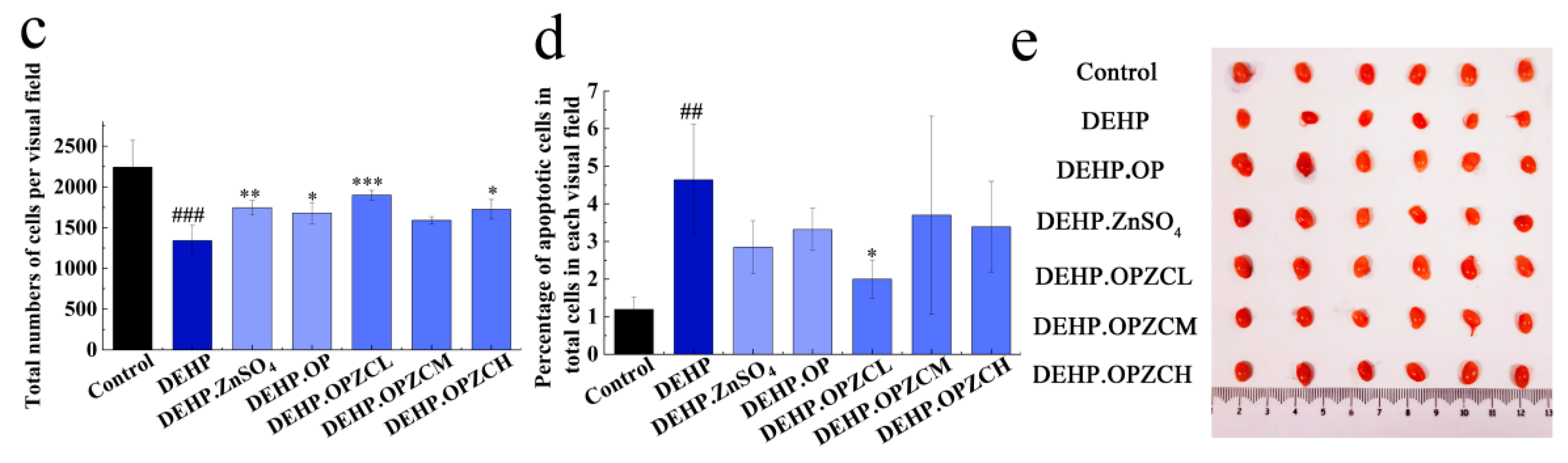 Foods 13 00093 g005b